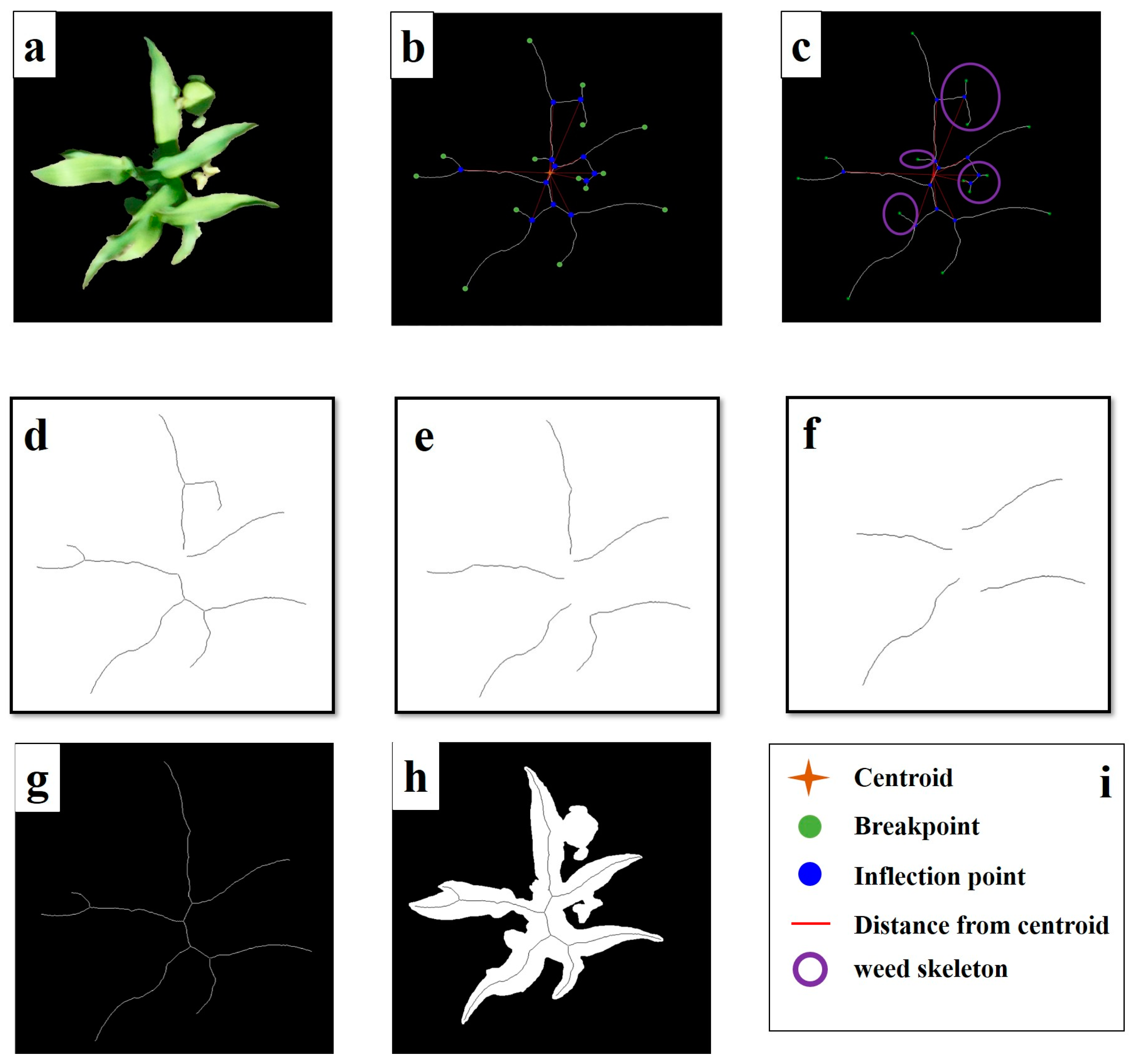 Agriculture 14 00175 g004