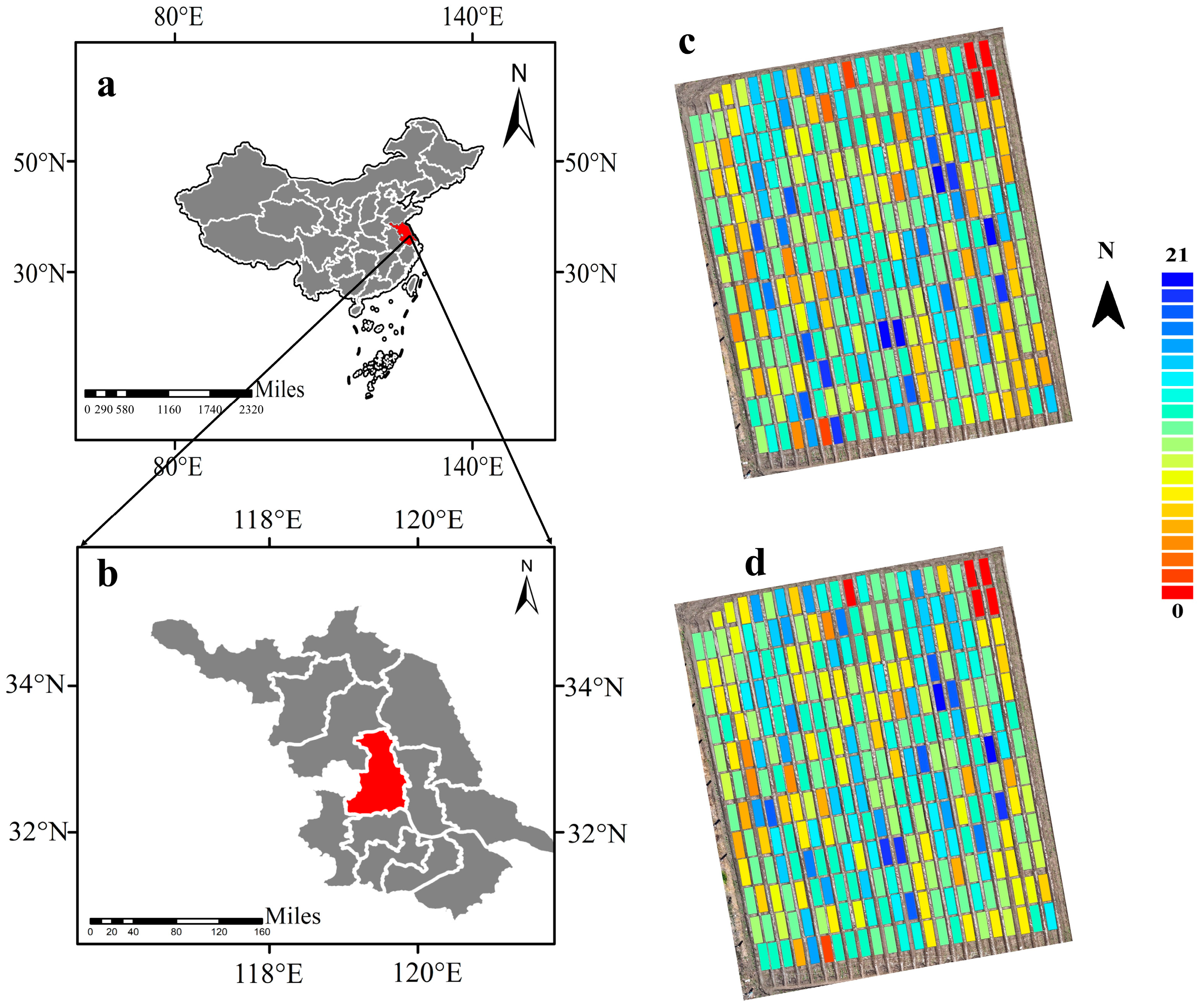 Agriculture 14 00175 g013