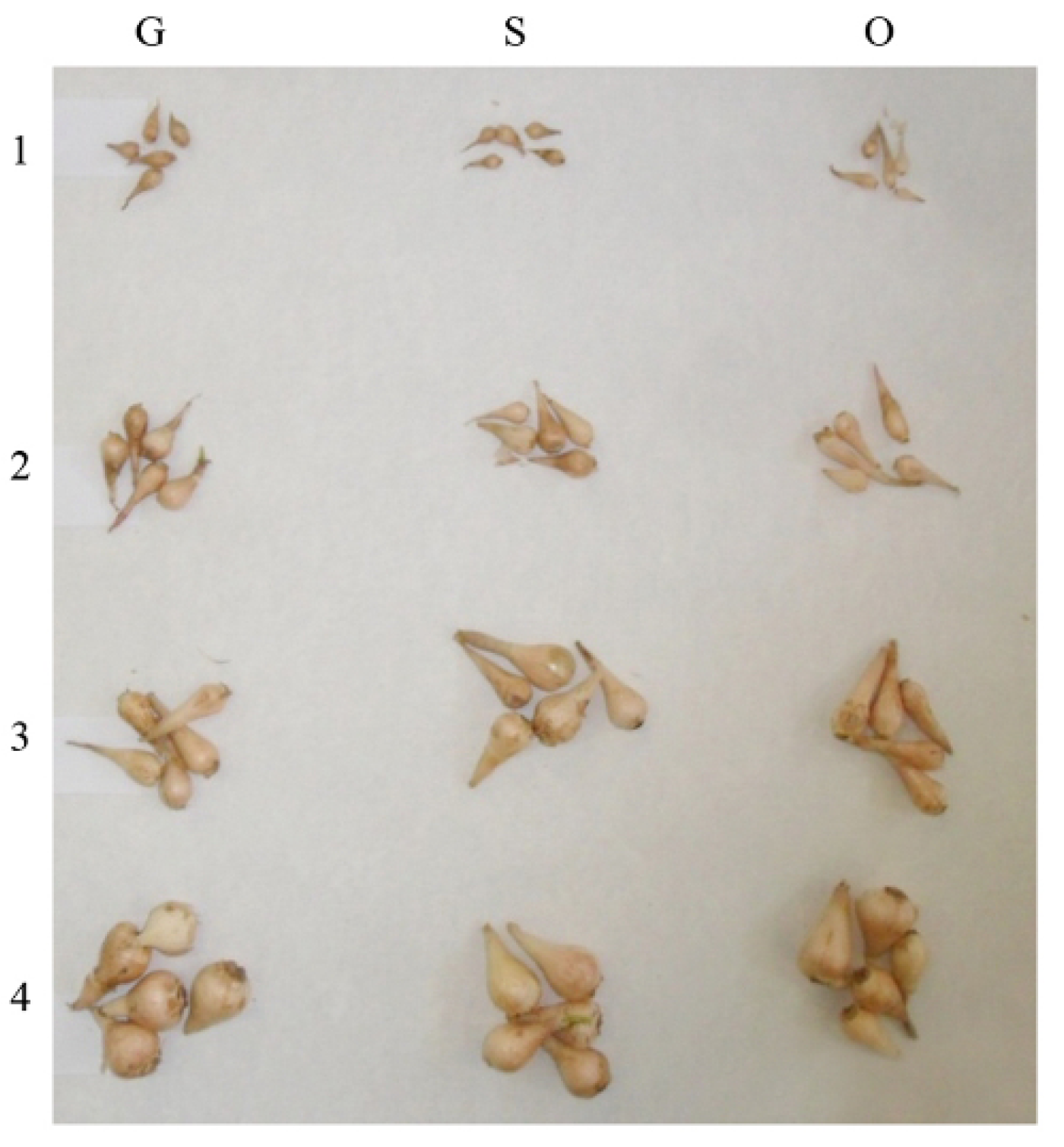 Agriculture 14 00178 g001