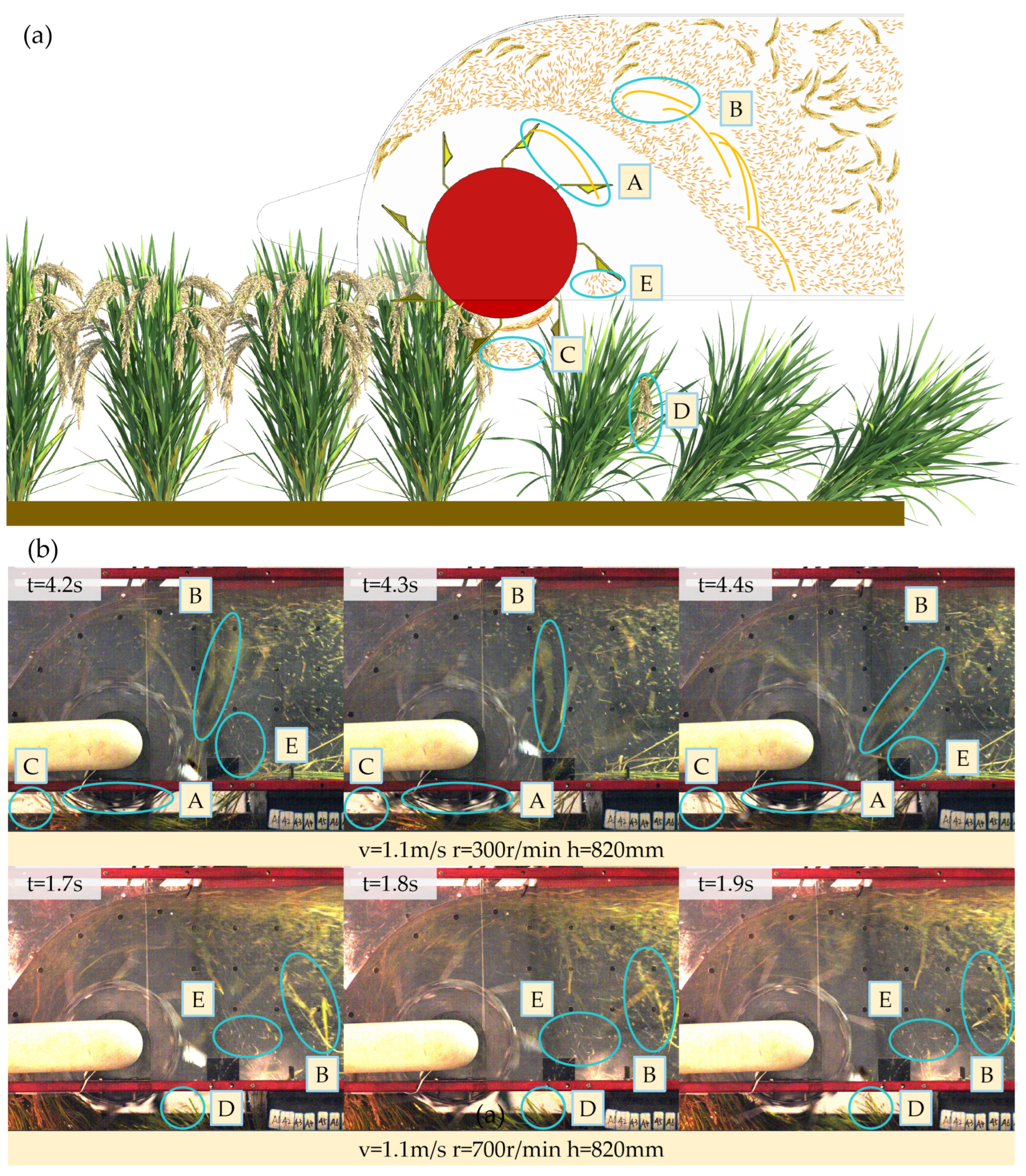 Agriculture 14 00183 g013