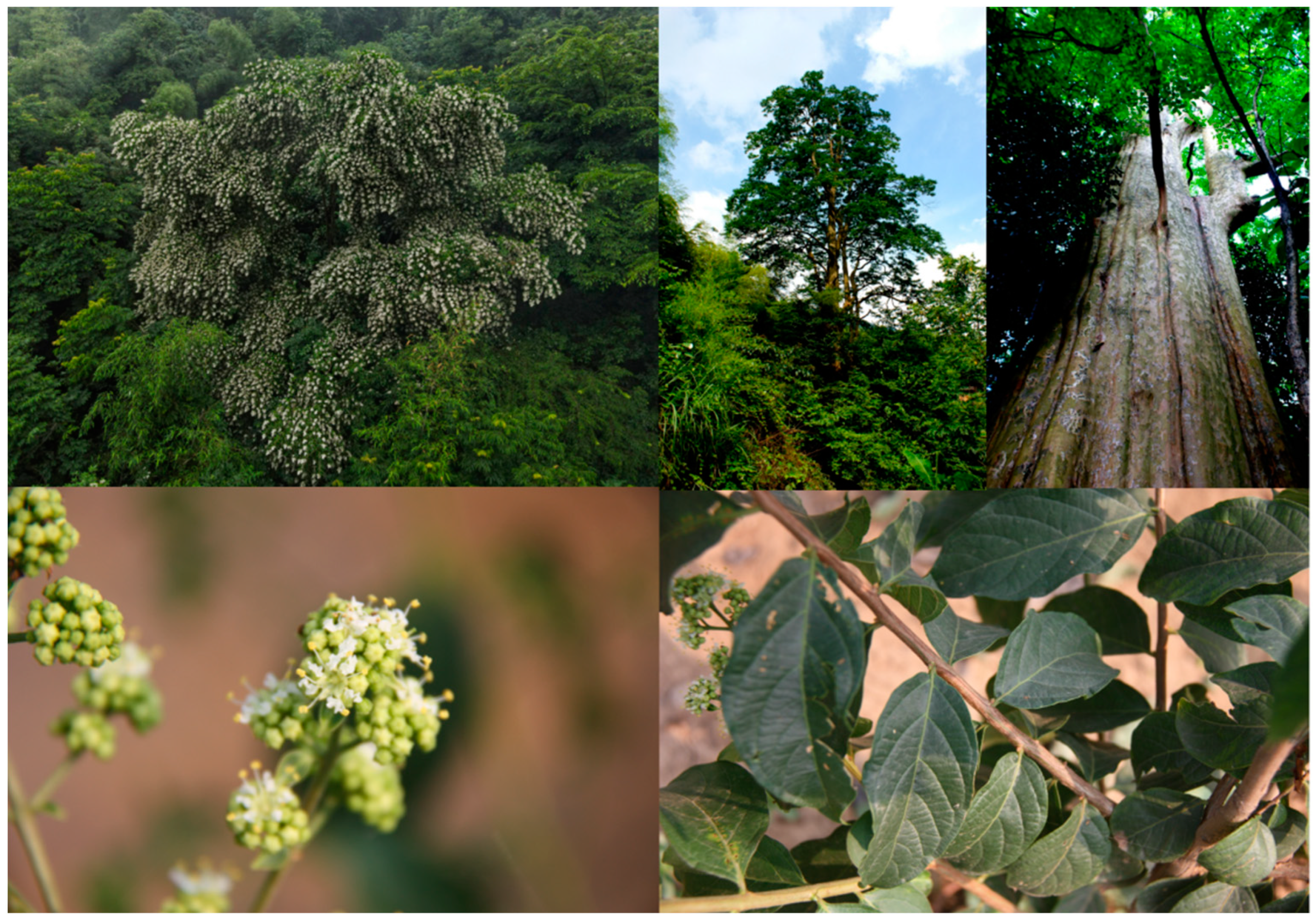 Agriculture 14 00191 g001