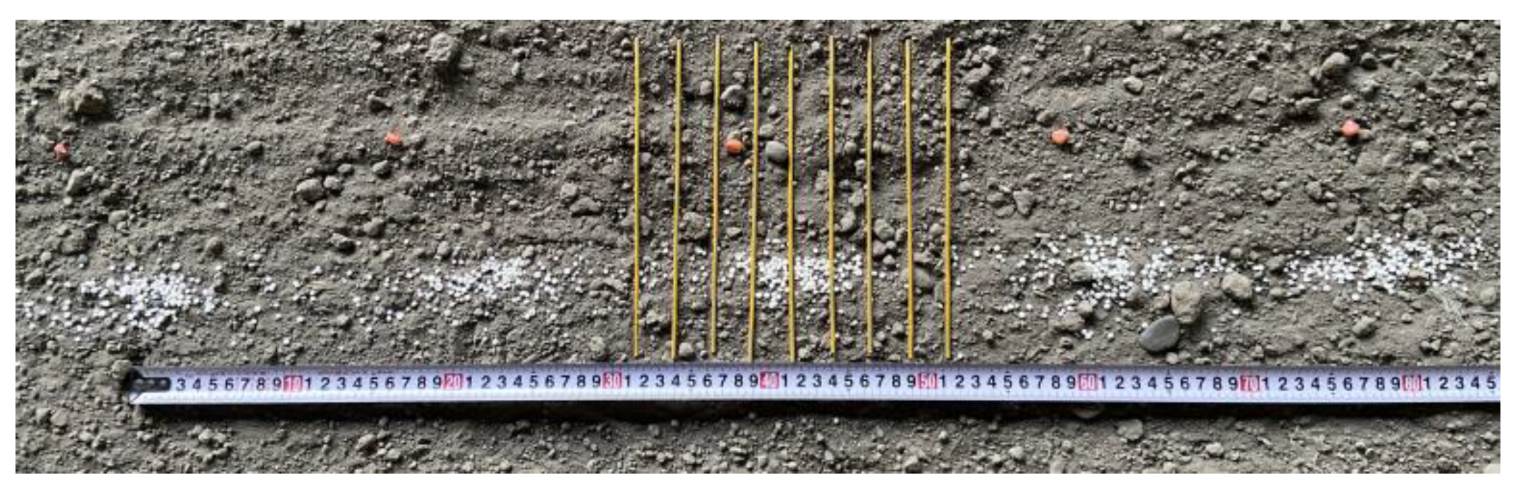 Agriculture 14 00192 g010