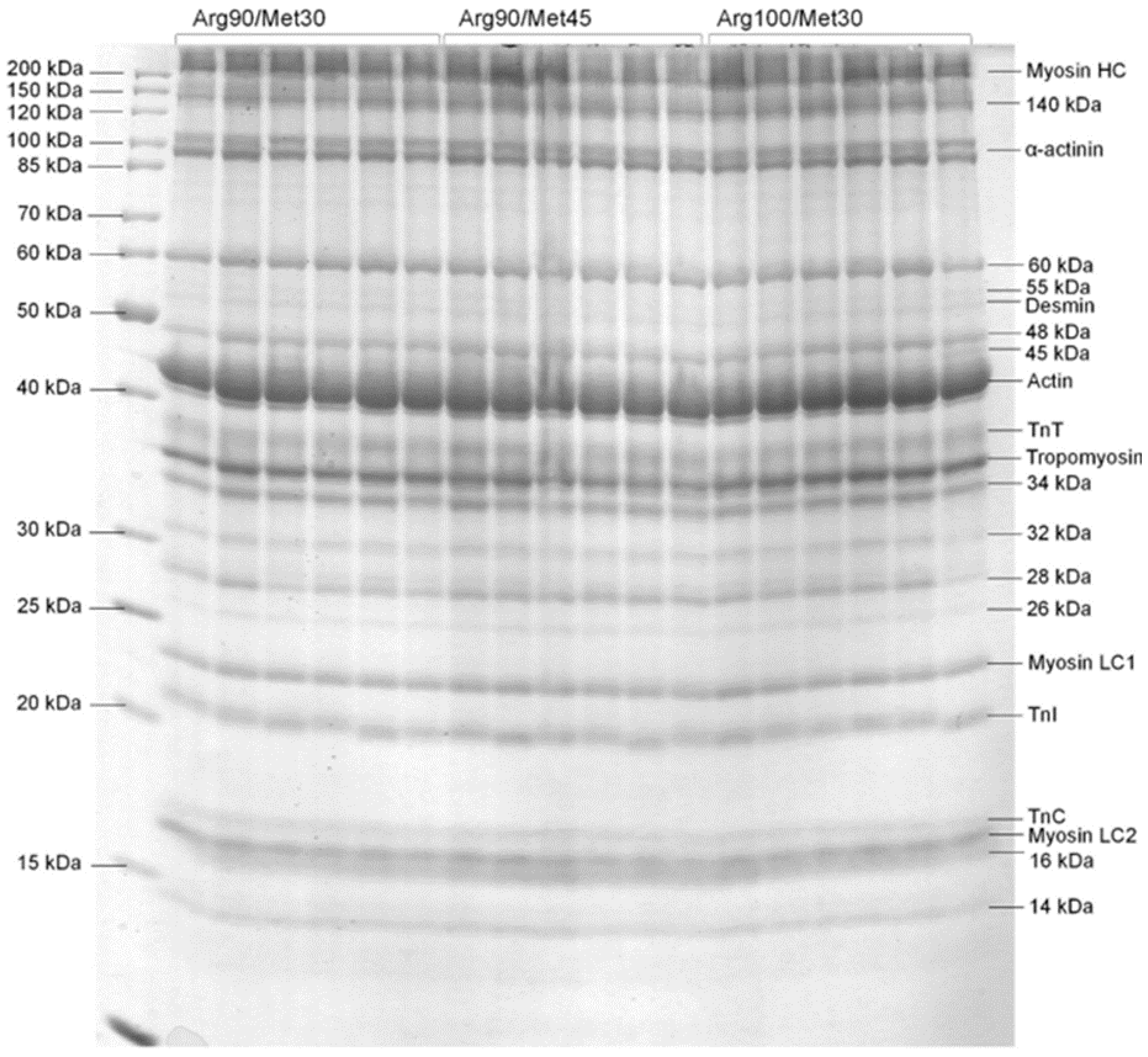 Agriculture 14 00197 g001