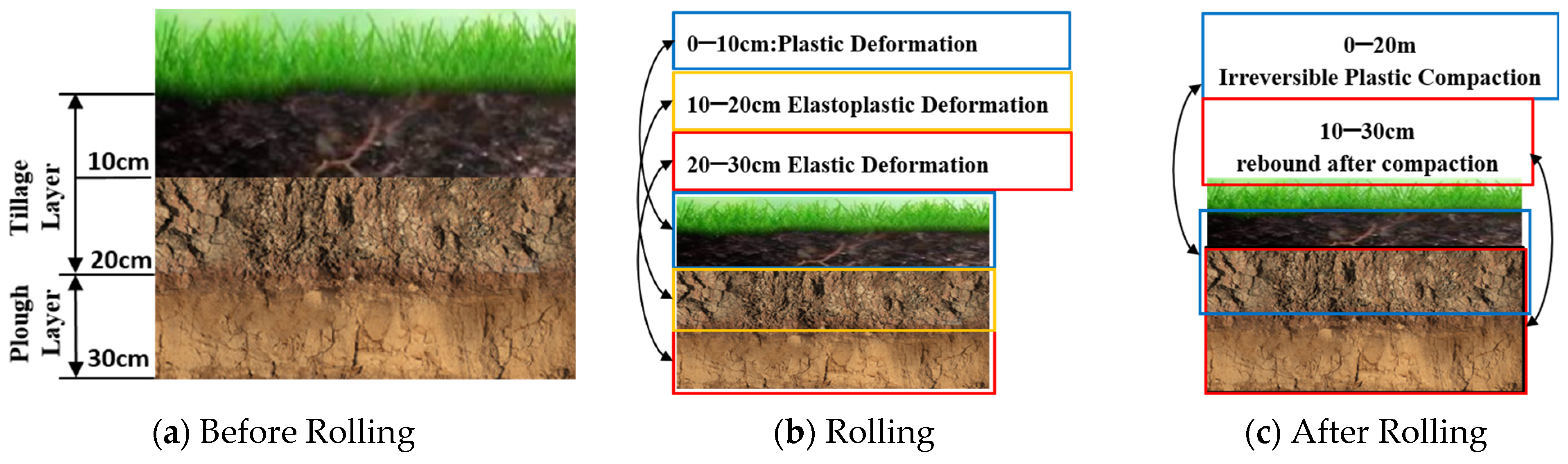 Paddy Soil Compaction Effect Undergoing Multi-Dimensional Dynamic Load ...