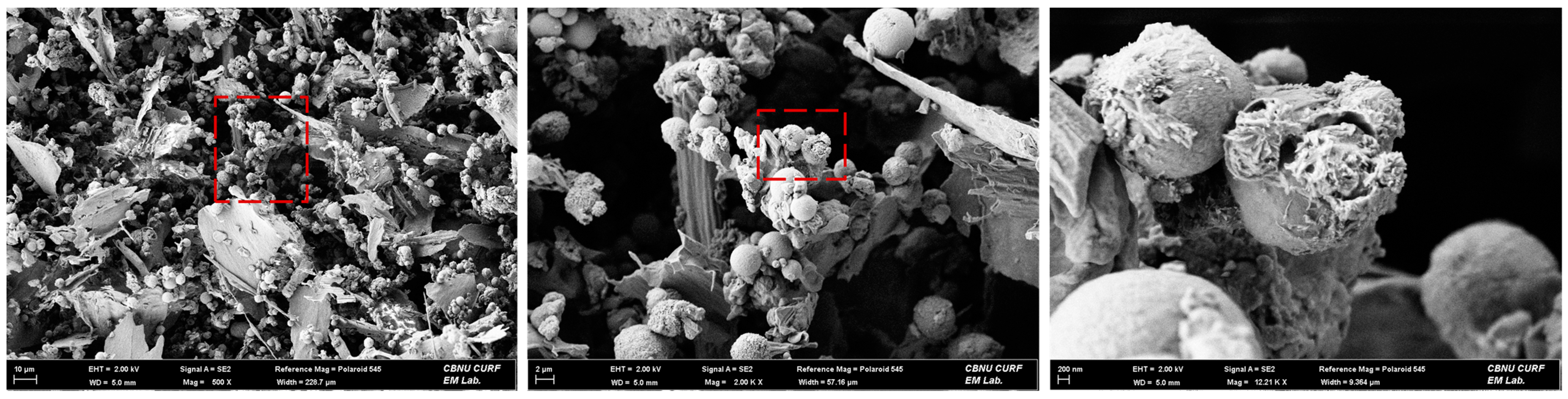 Agriculture 14 00204 g006