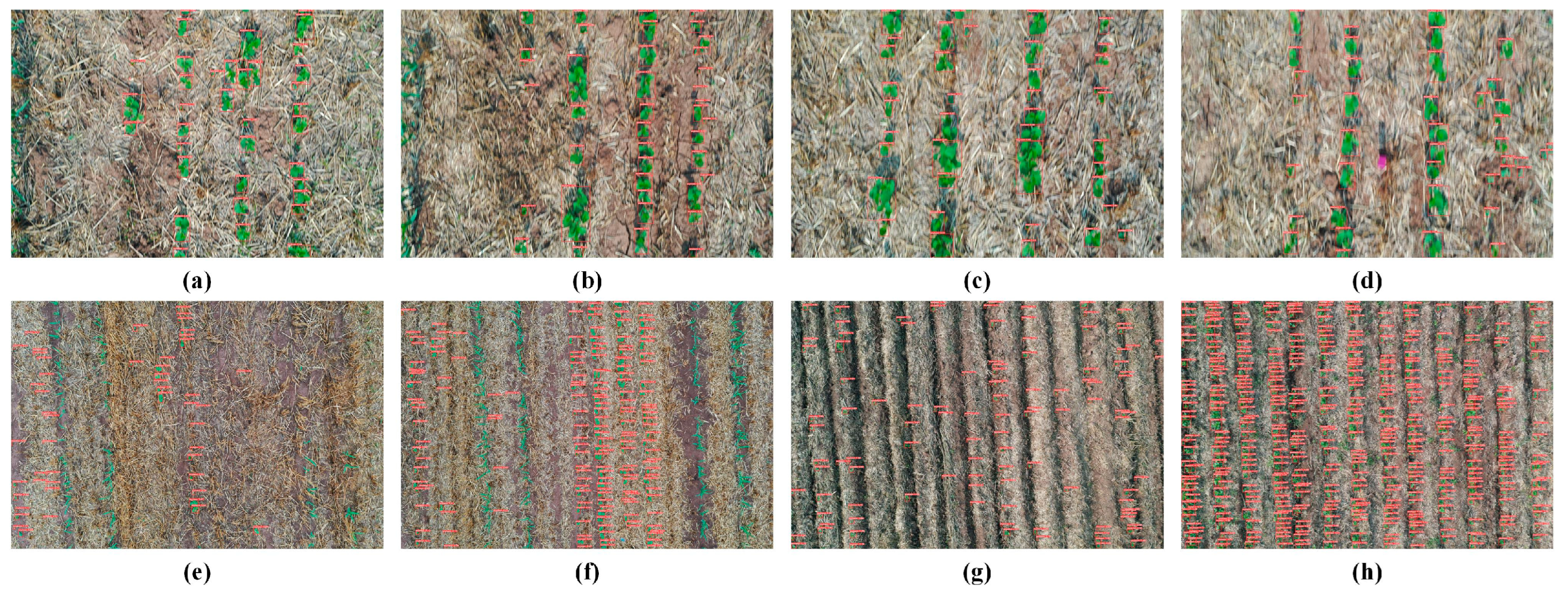Agriculture 14 00208 g011