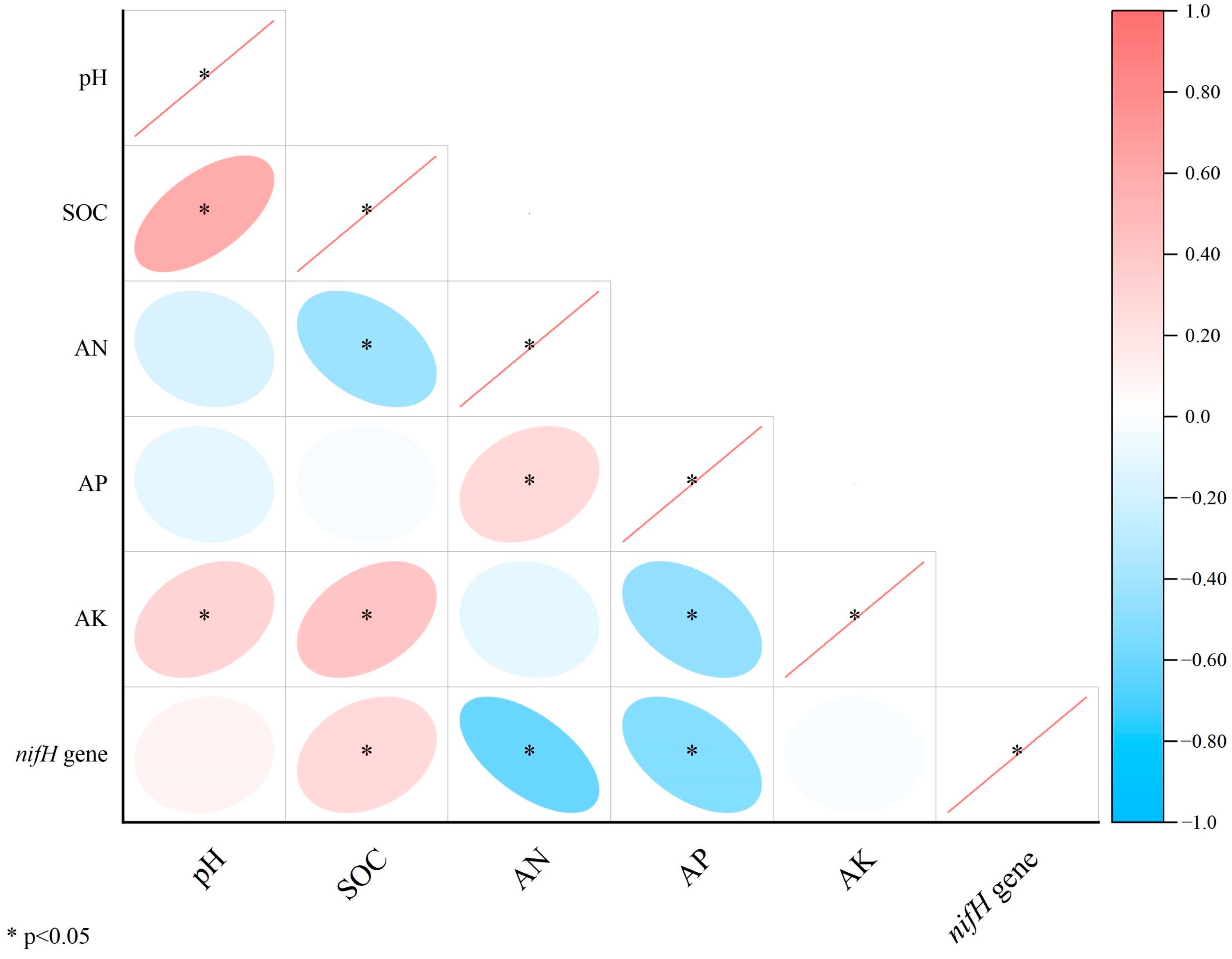 Agriculture 14 00211 g002