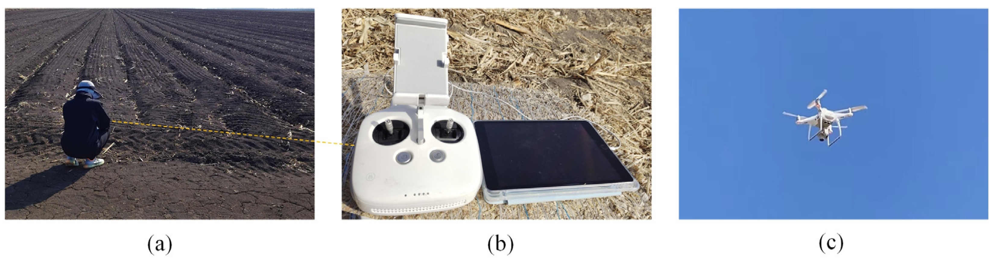 Agriculture 14 00217 g001