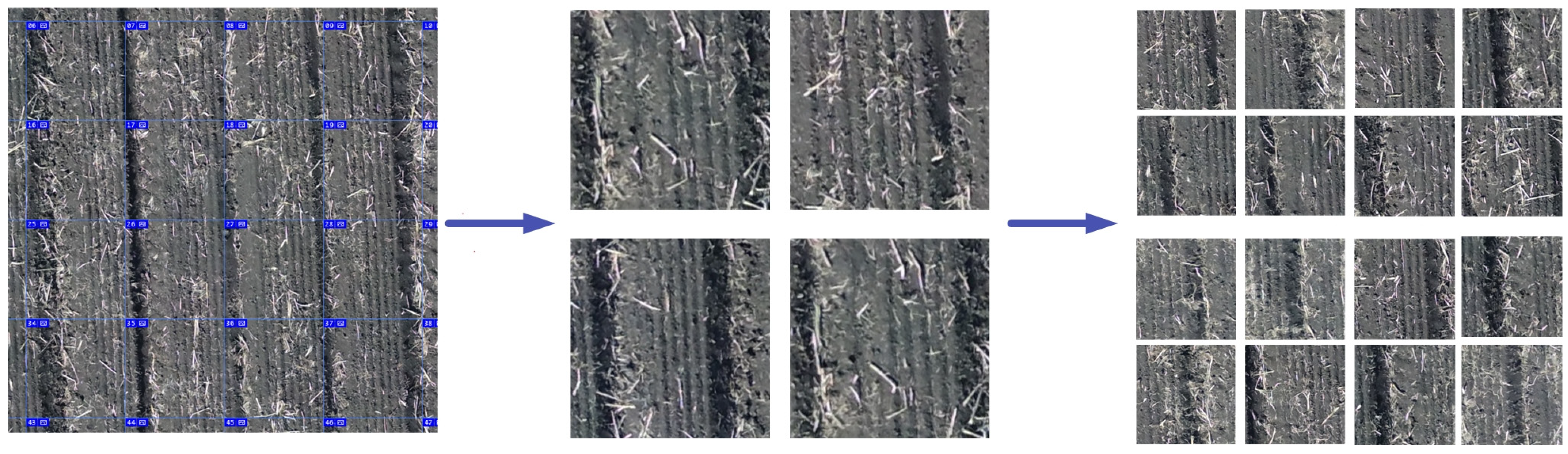 Agriculture 14 00217 g005