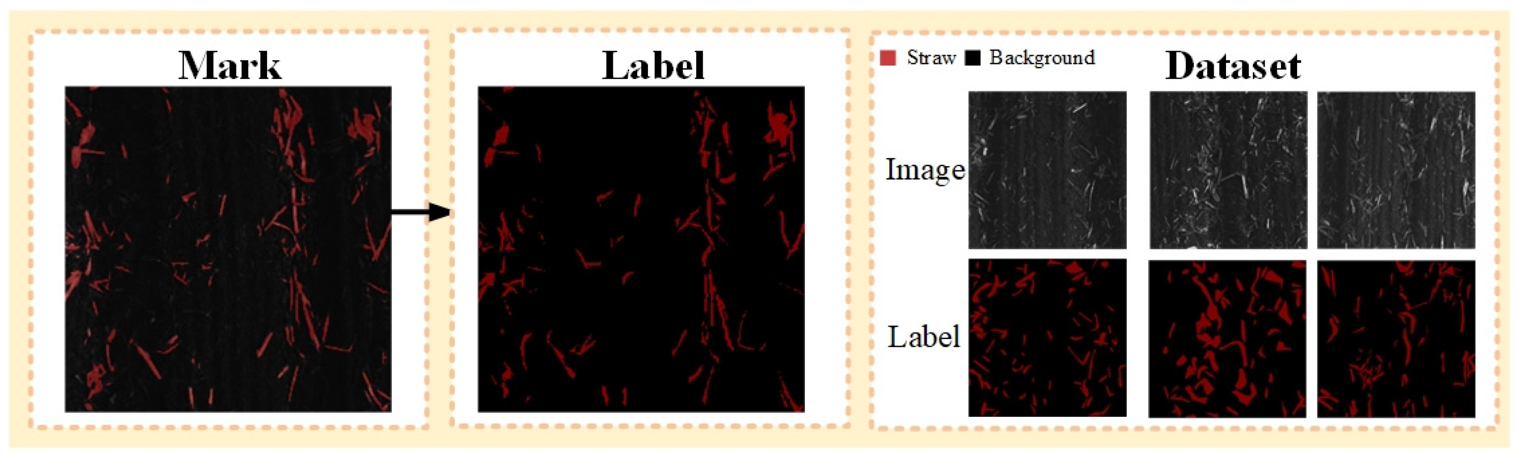 Agriculture 14 00217 g006