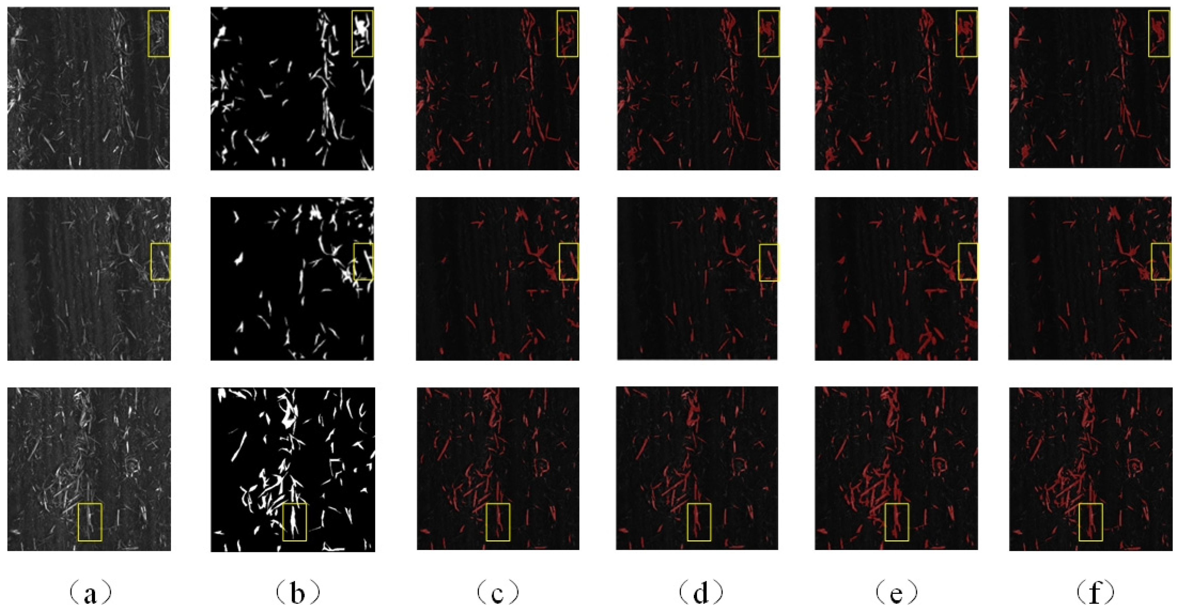 Agriculture 14 00217 g011