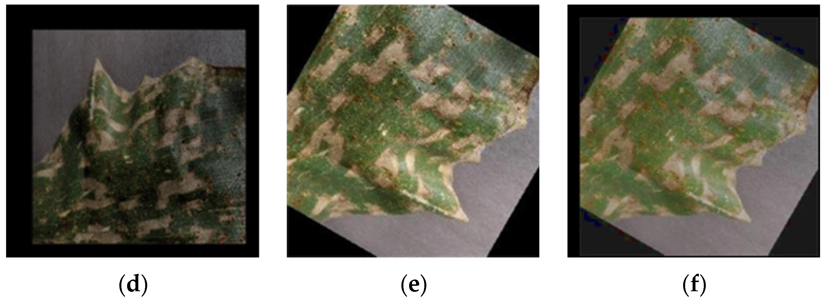 Agriculture 14 00220 g002b