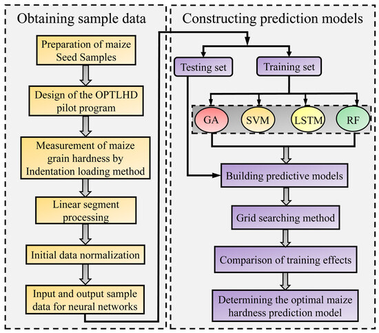 Research on Machine Learning Models for Maize Hardness