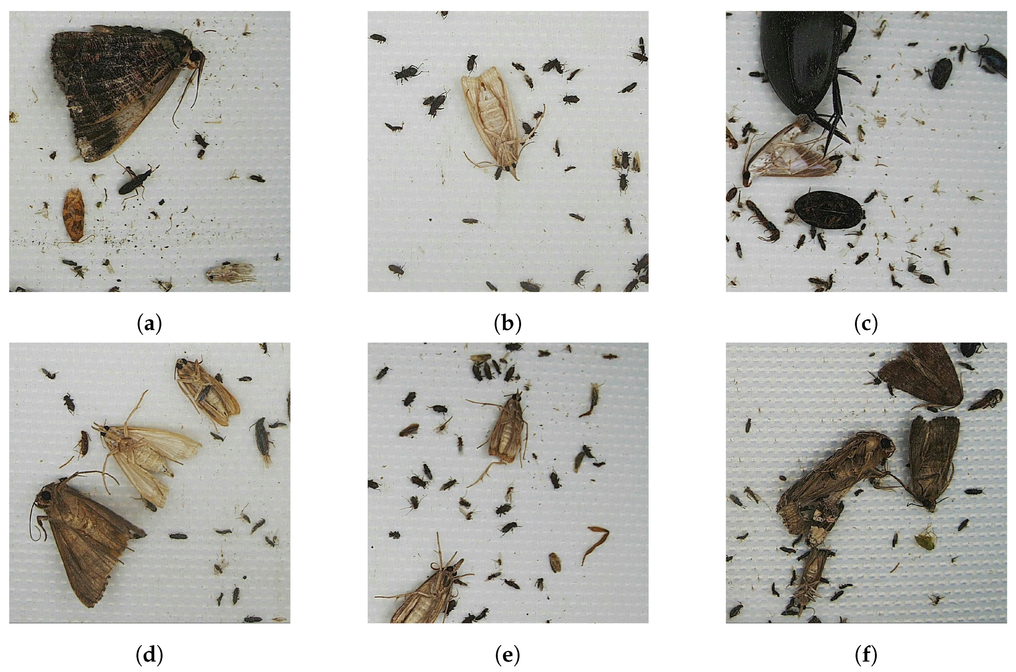 Agriculture 14 00228 g001