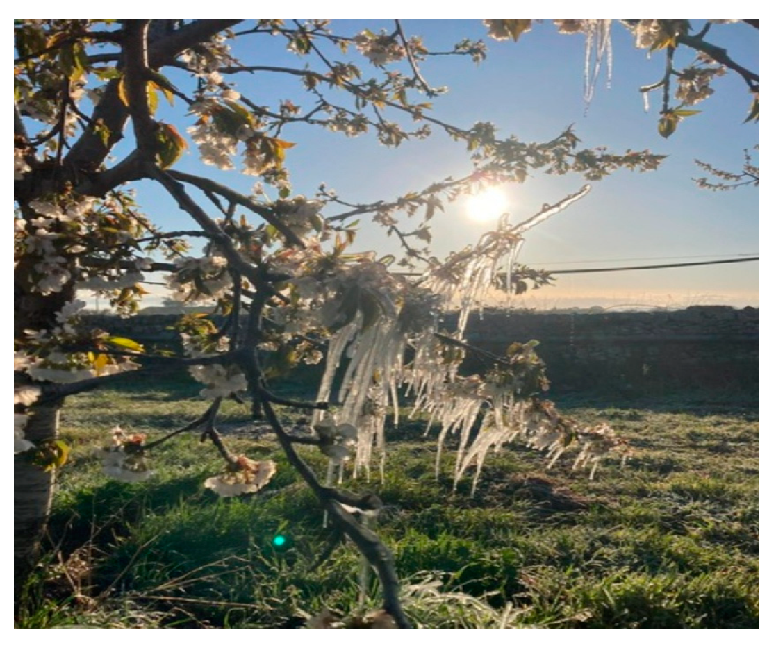 Agriculture 14 00230 g001