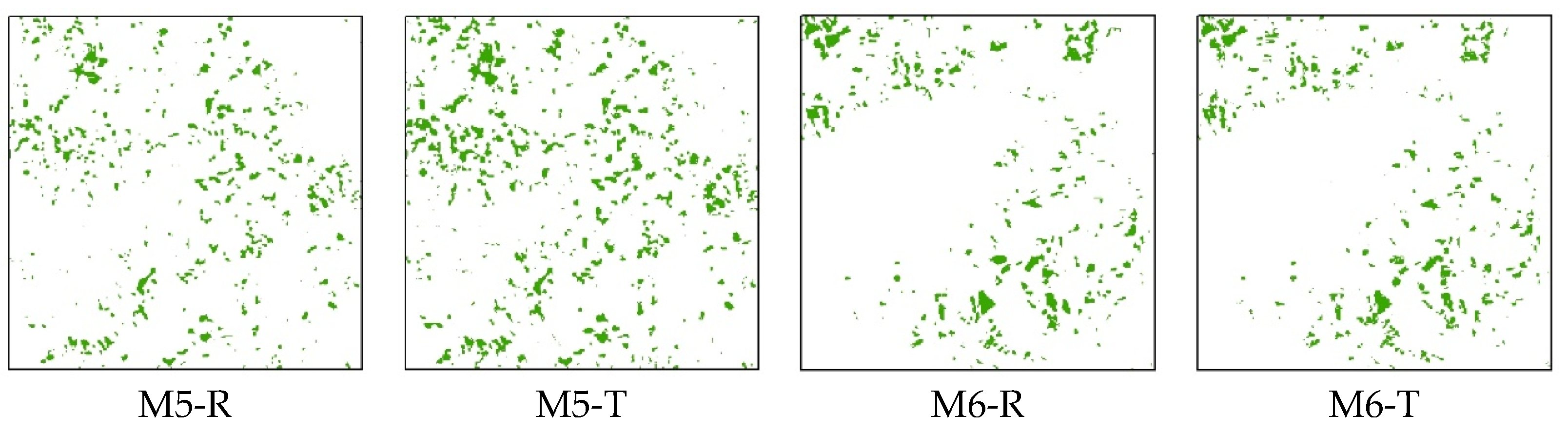 Agriculture 14 00231 g009b