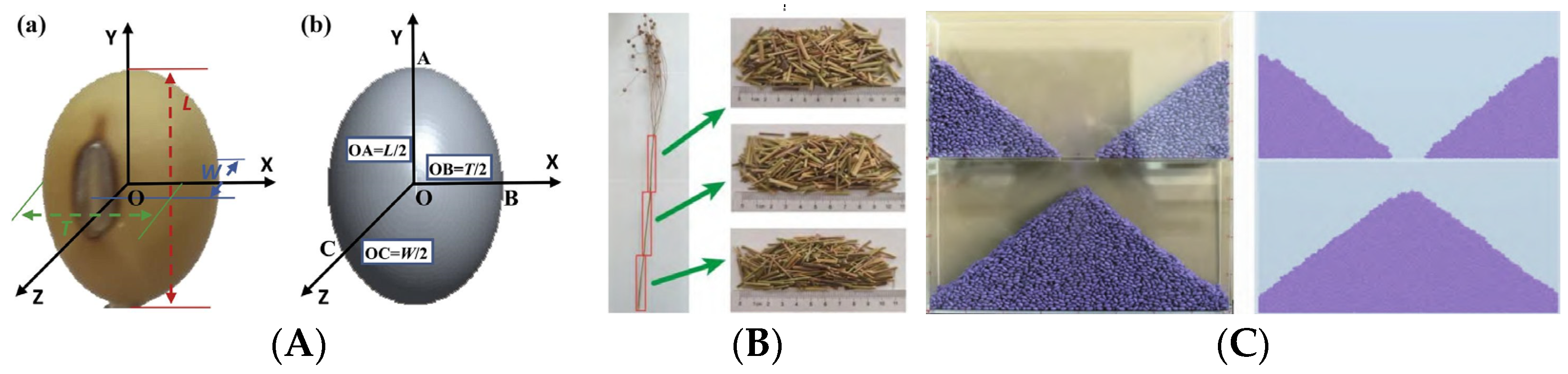 Agriculture 14 00238 g004