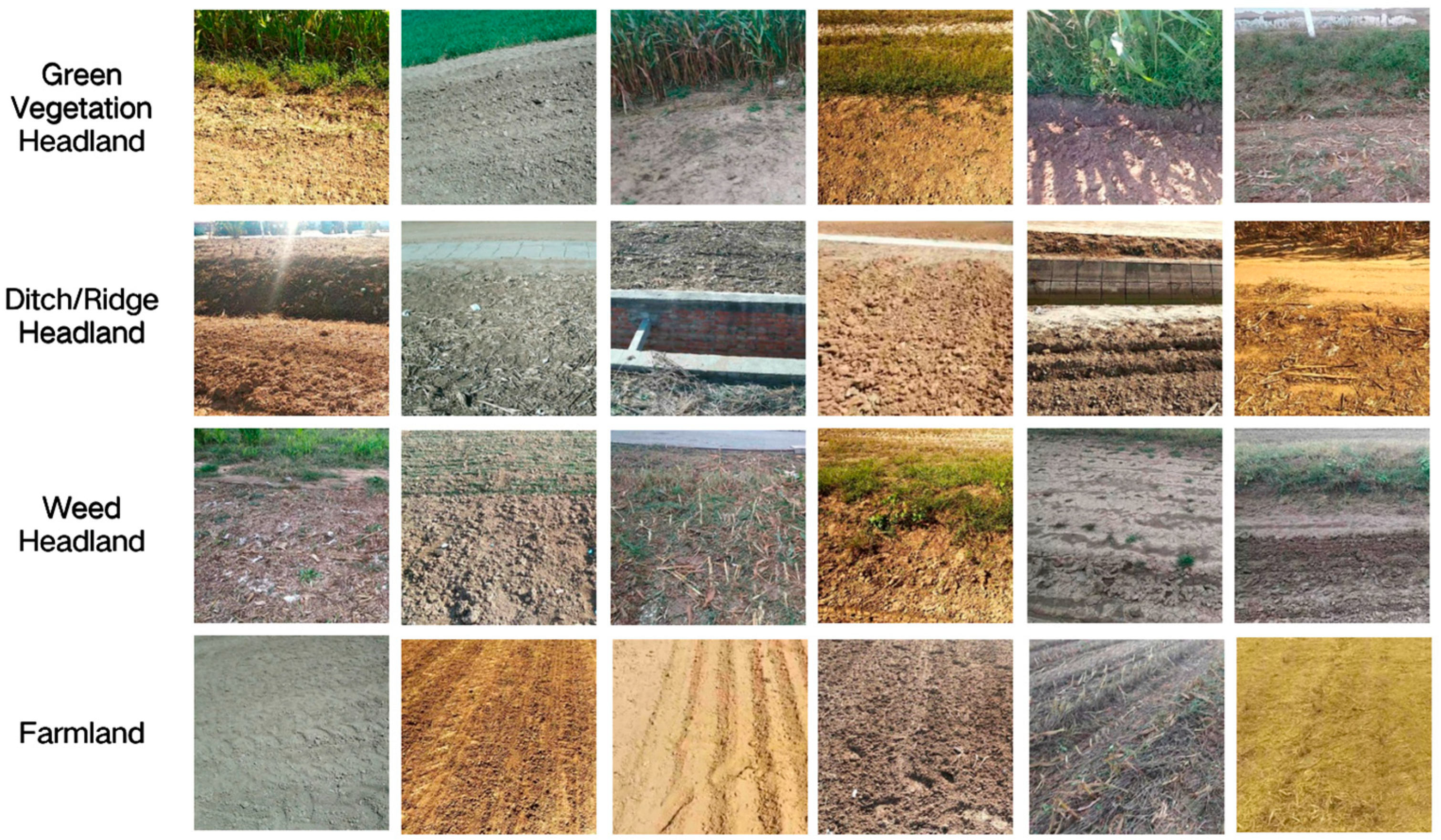 Agriculture 14 00243 g002