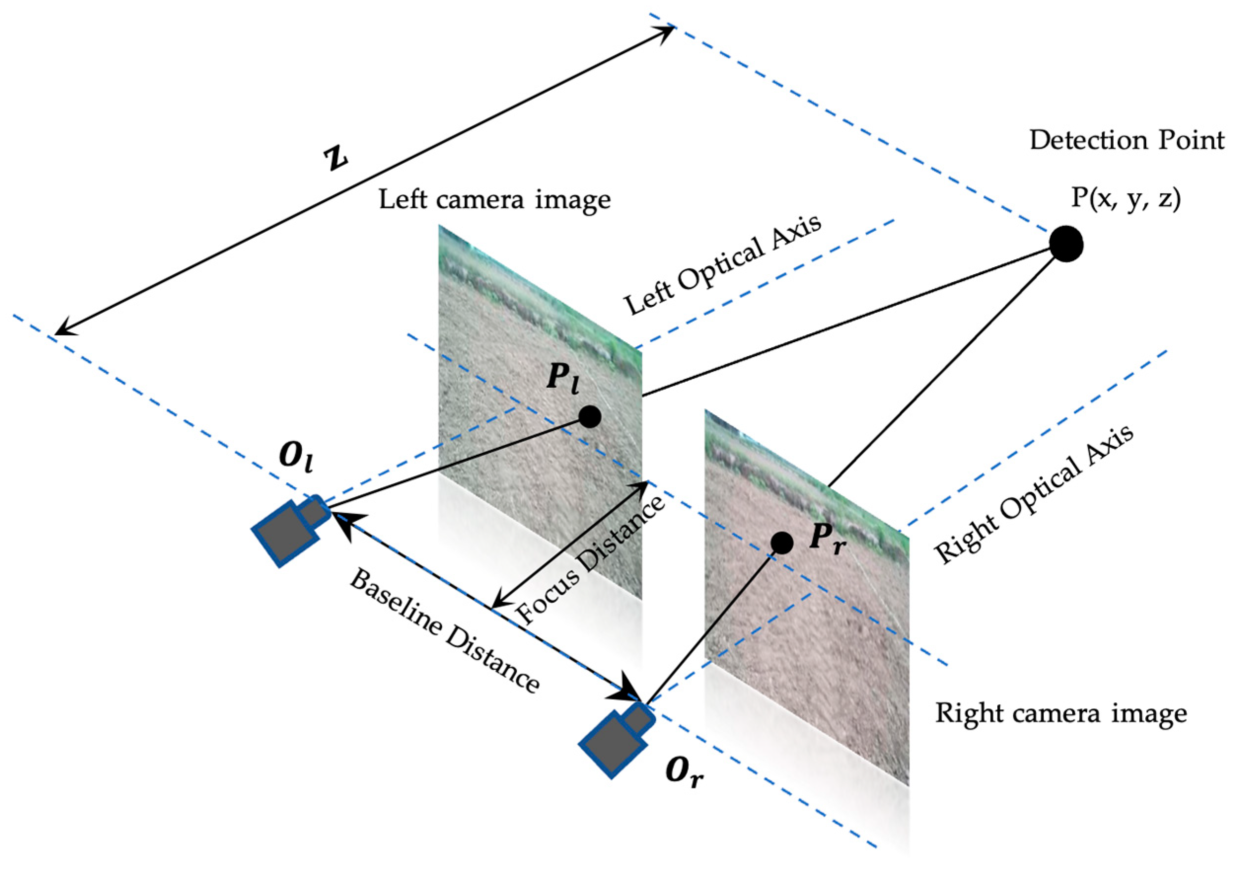 Agriculture 14 00243 g006