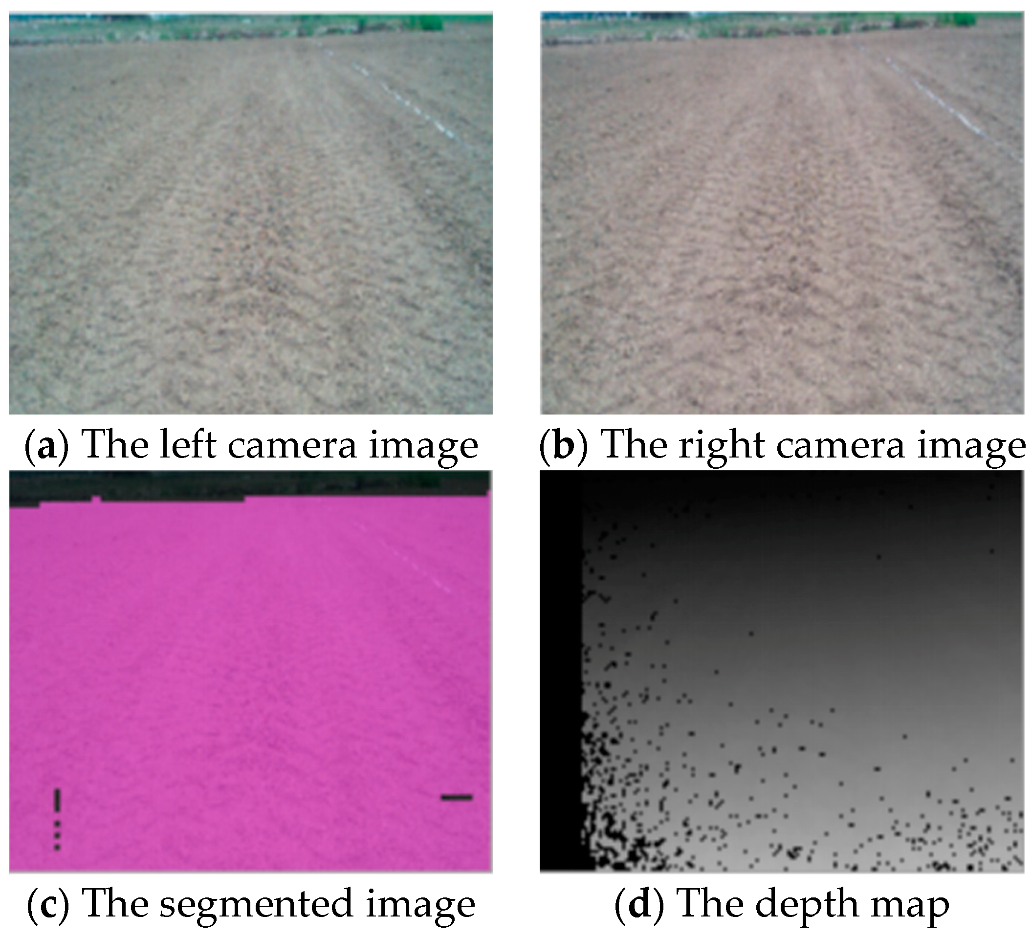 Agriculture 14 00243 g007