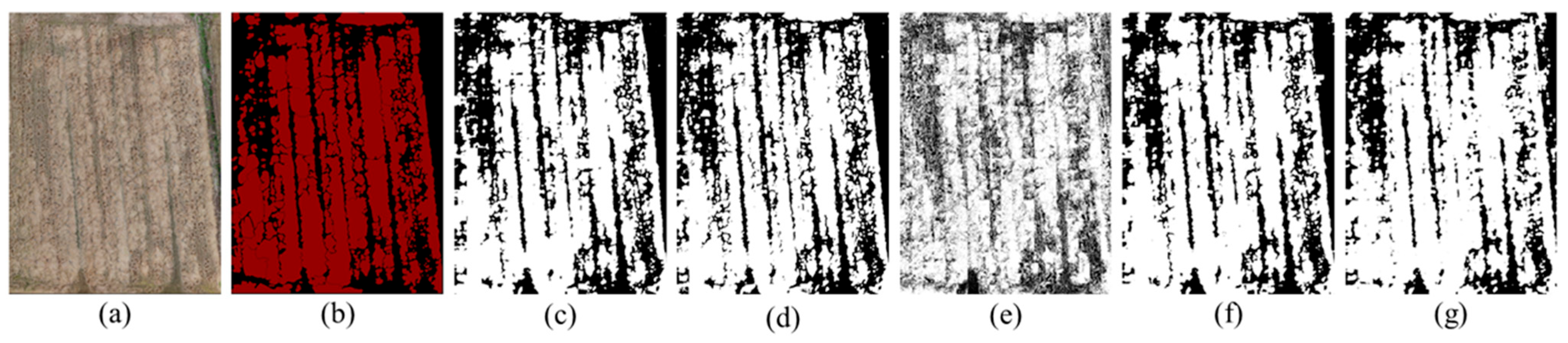 Agriculture 14 00244 g007
