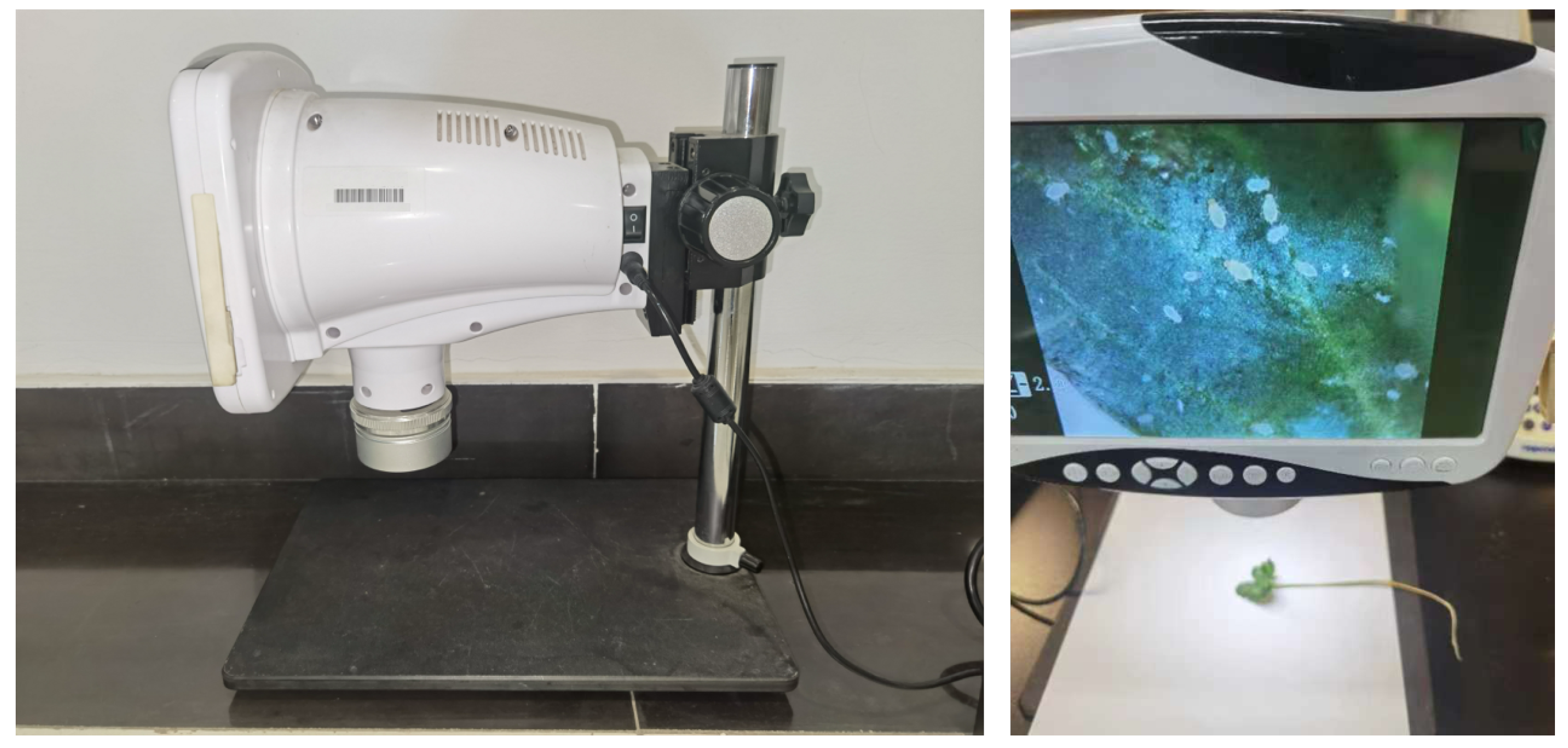 Agriculture 14 00247 g001