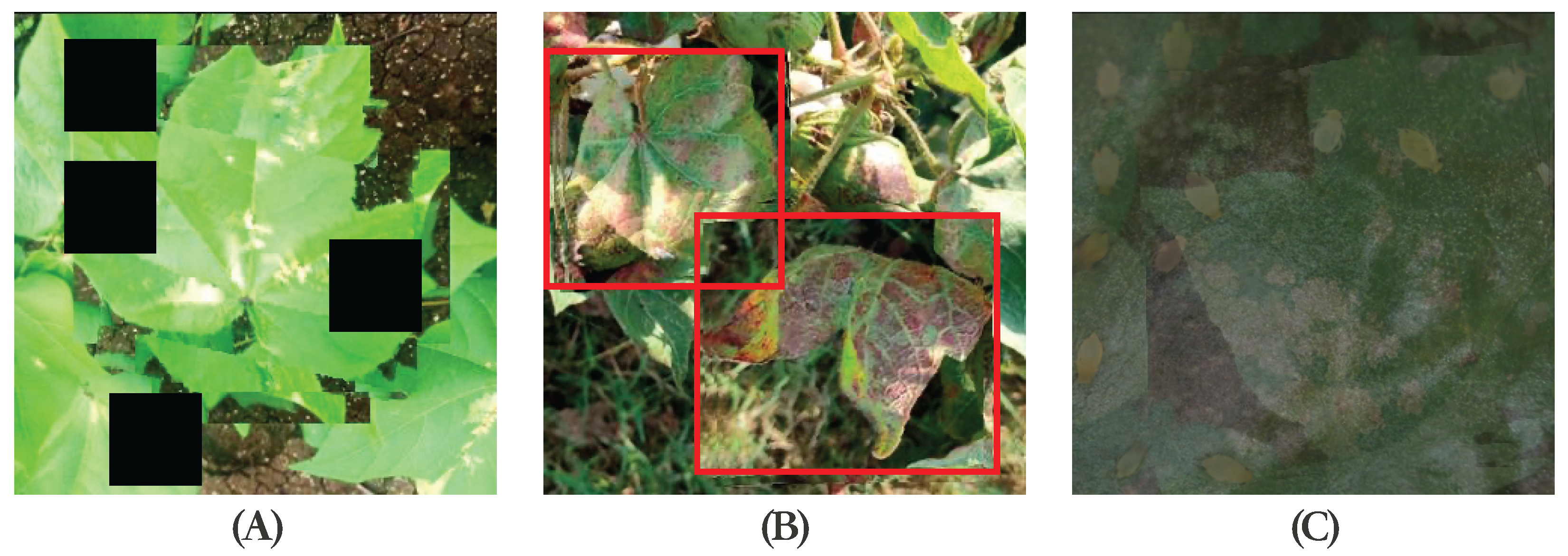 Agriculture 14 00247 g003