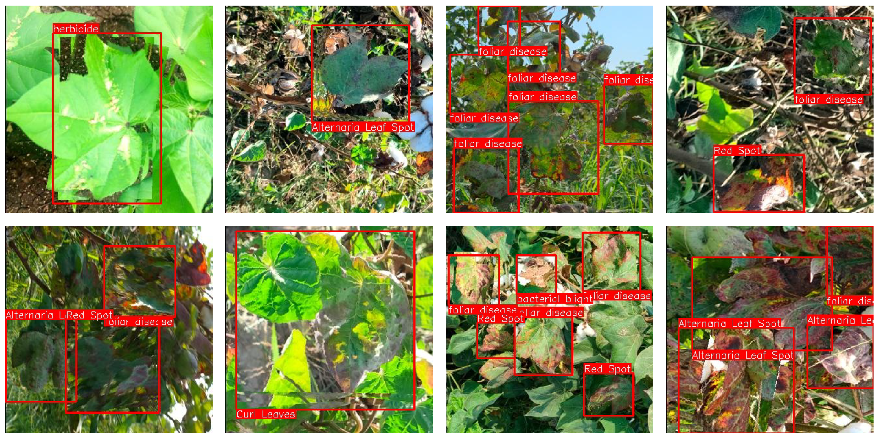 Agriculture 14 00247 g007