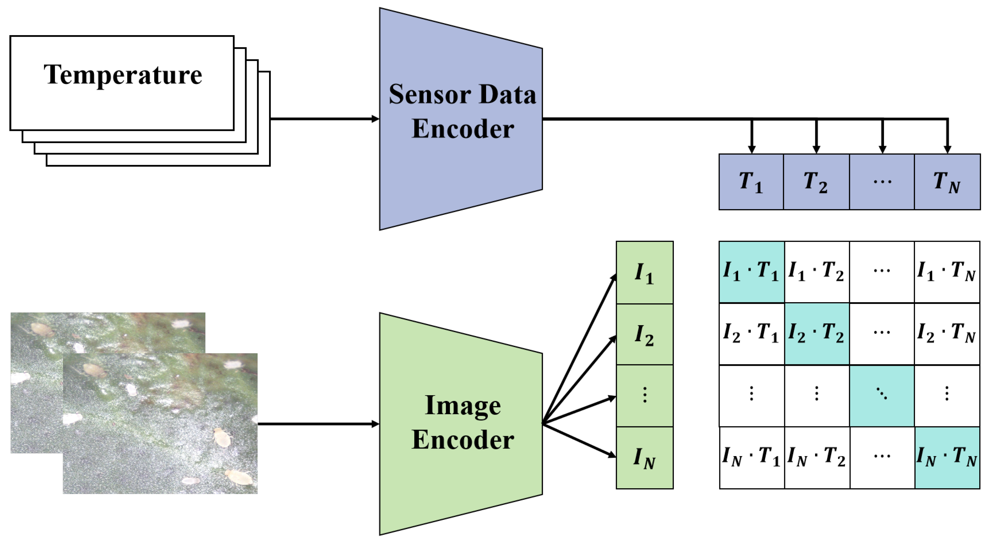 Agriculture 14 00247 g009