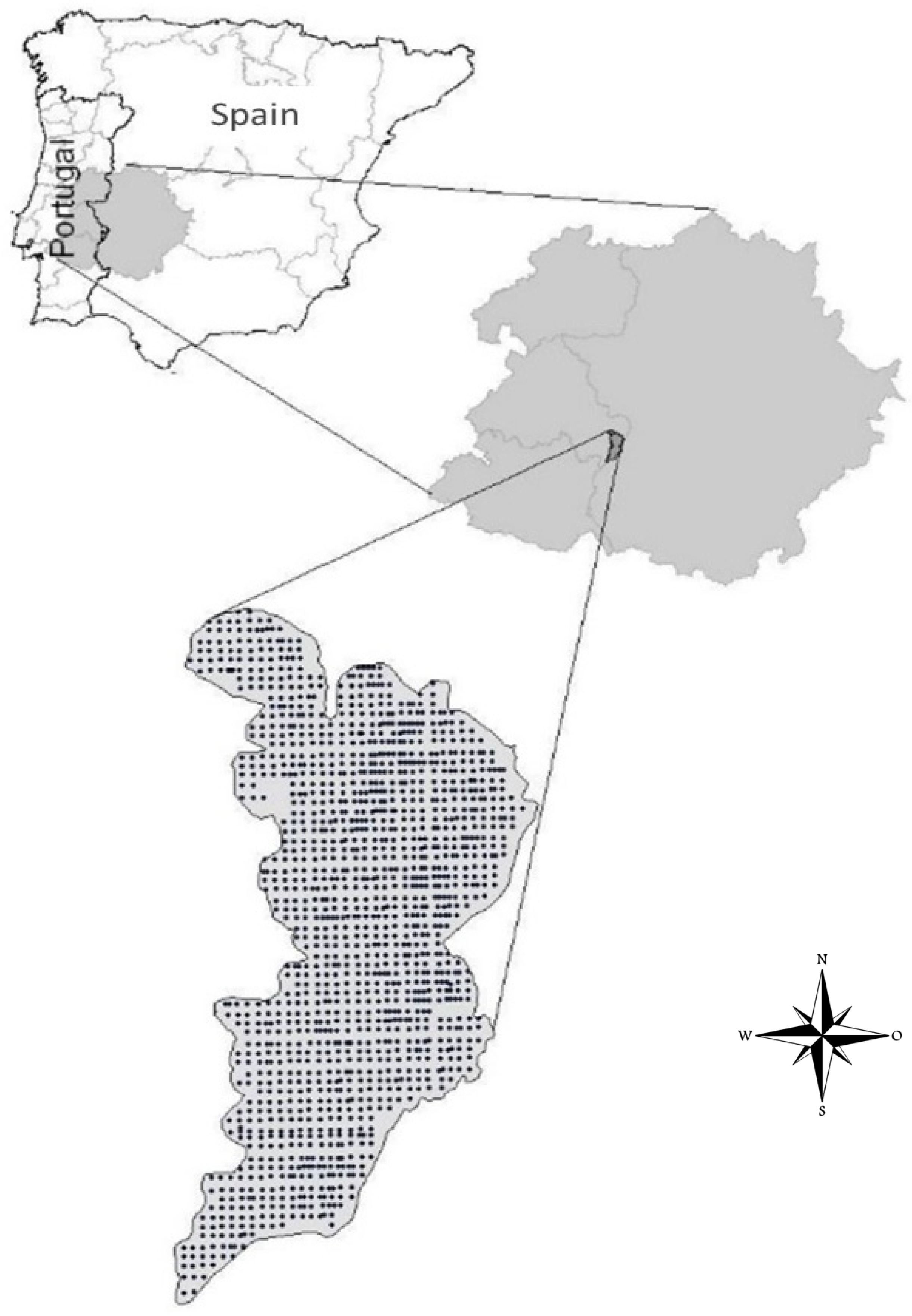 Agriculture 14 00251 g001