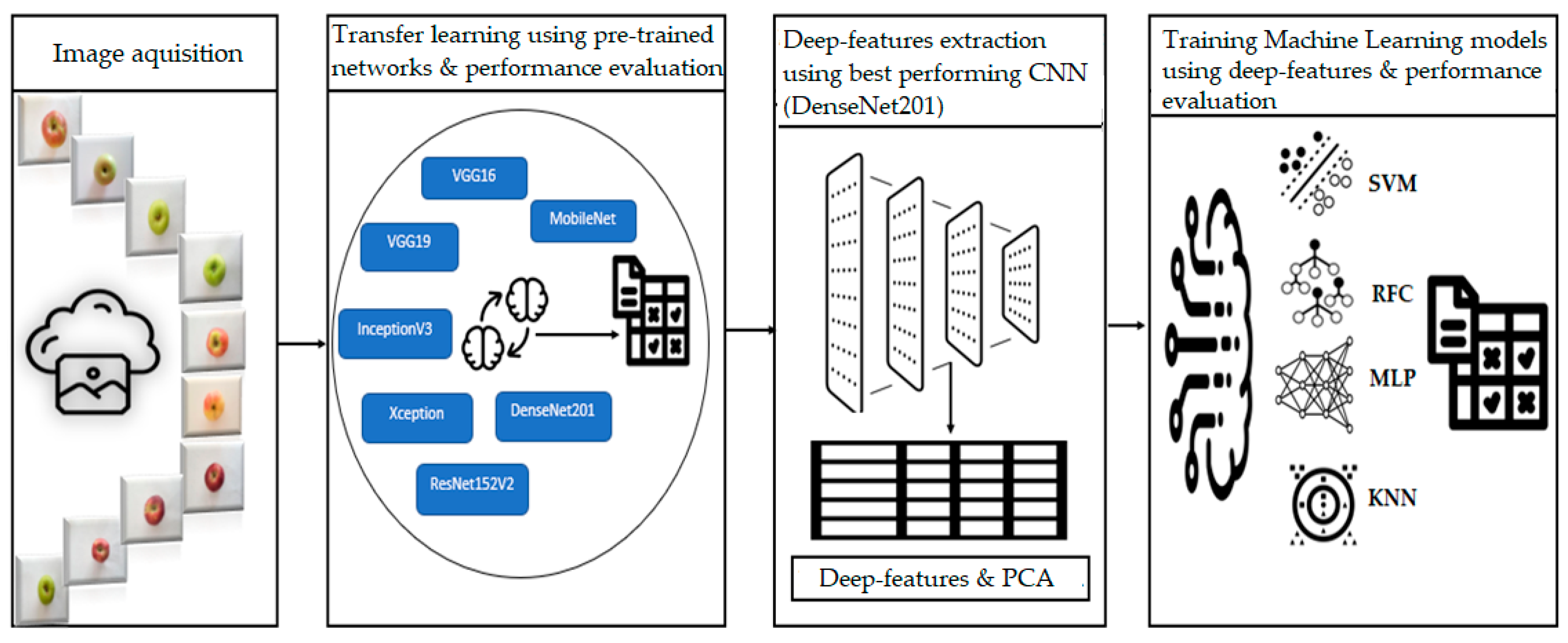 Agriculture 14 00252 g002