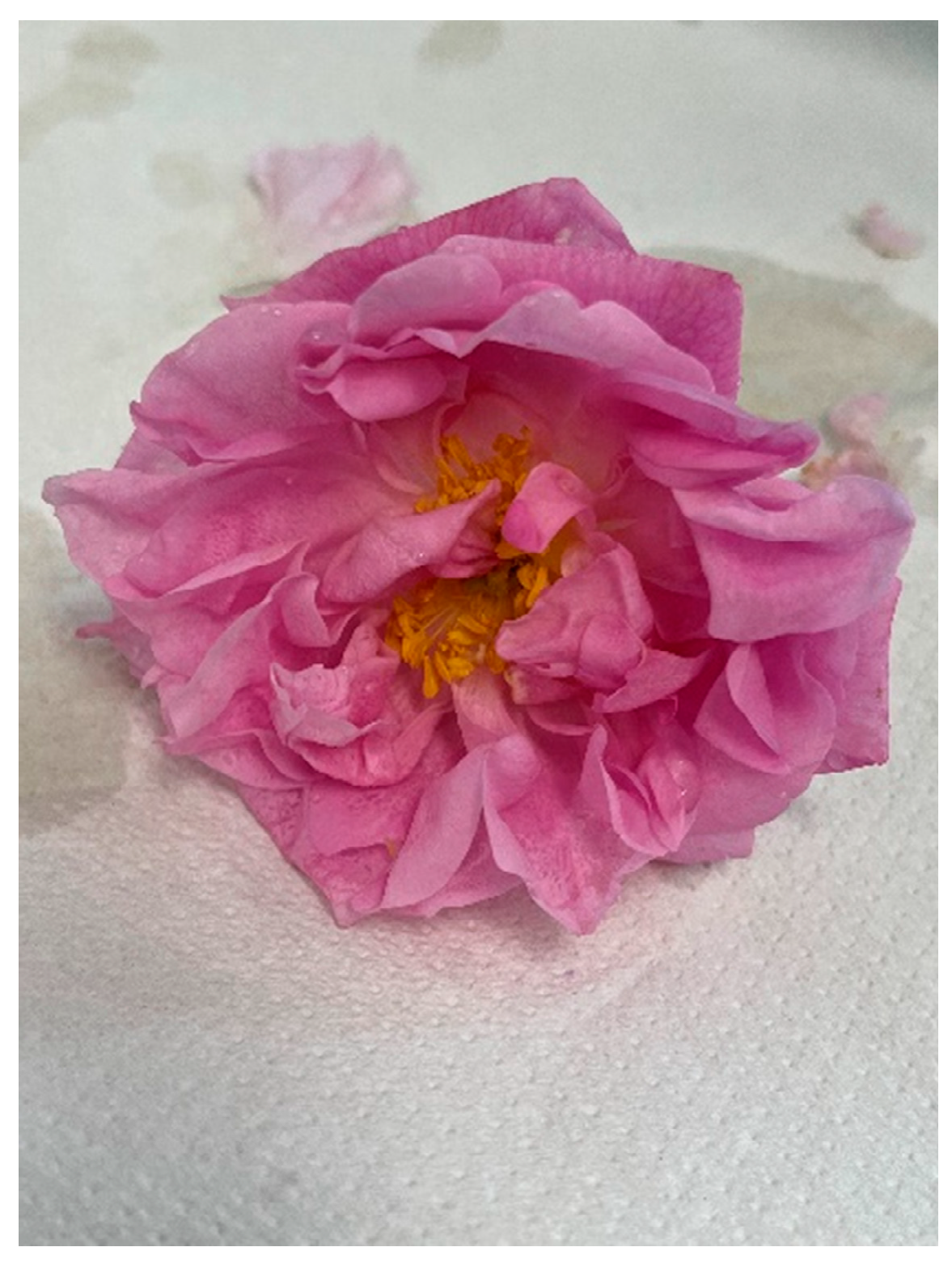 Agriculture 14 00253 g002