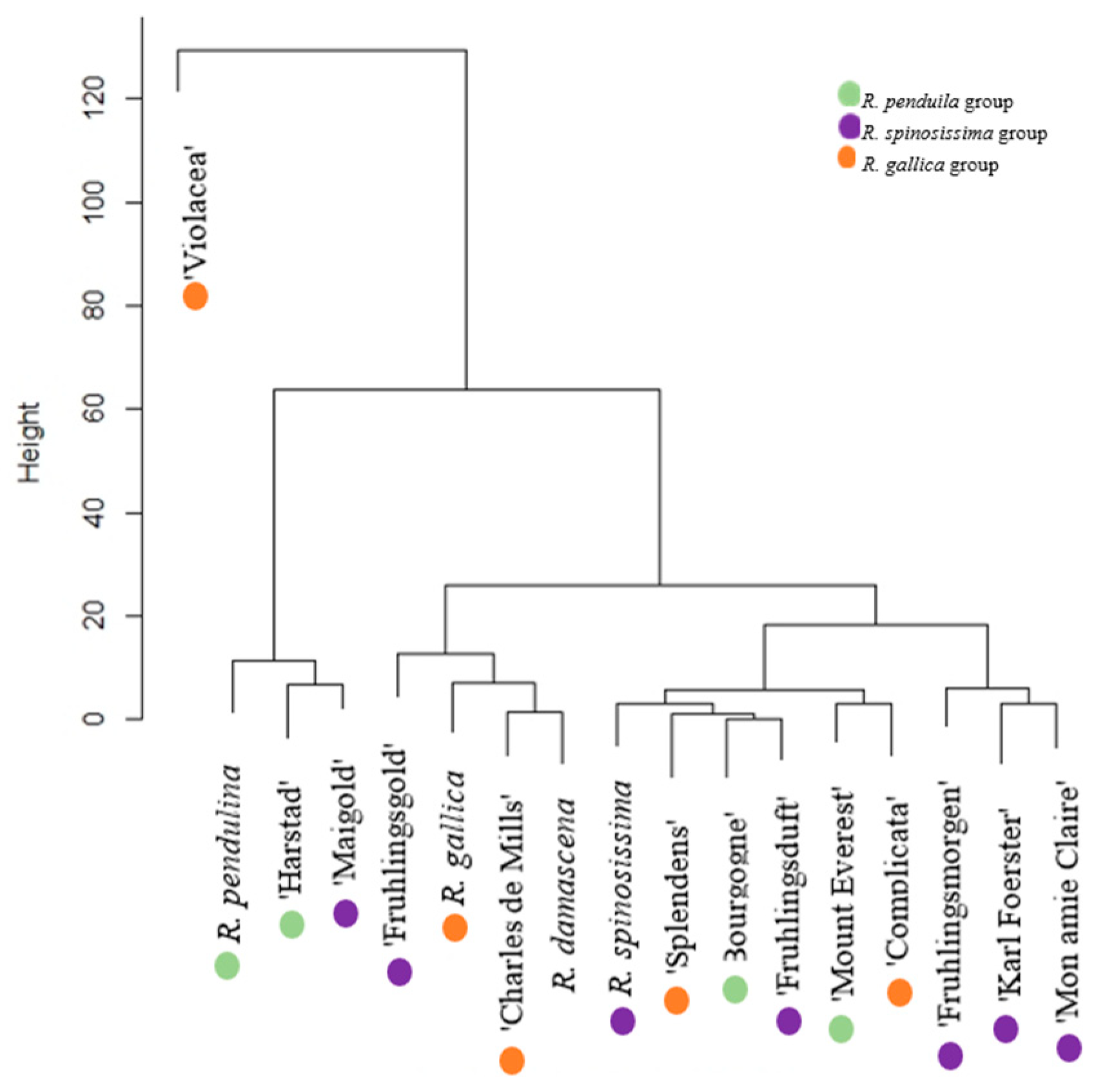 Agriculture 14 00253 g007