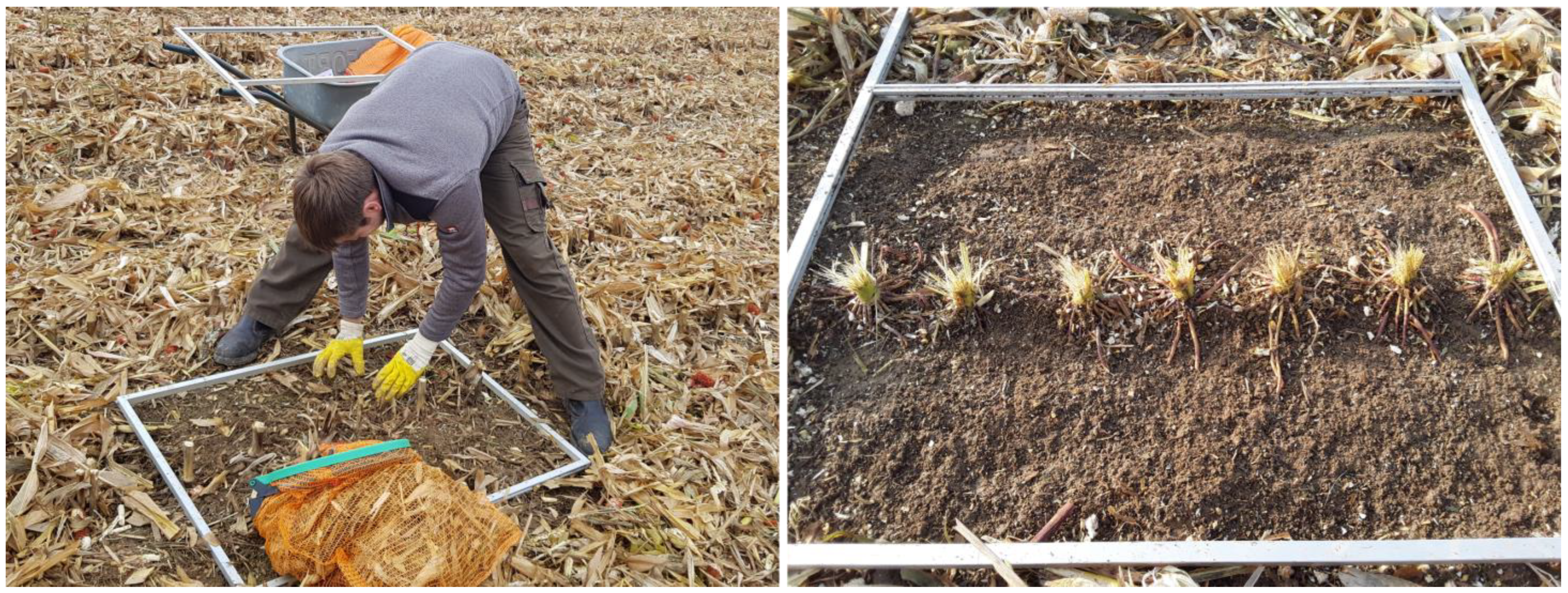 Agriculture 14 00263 g002