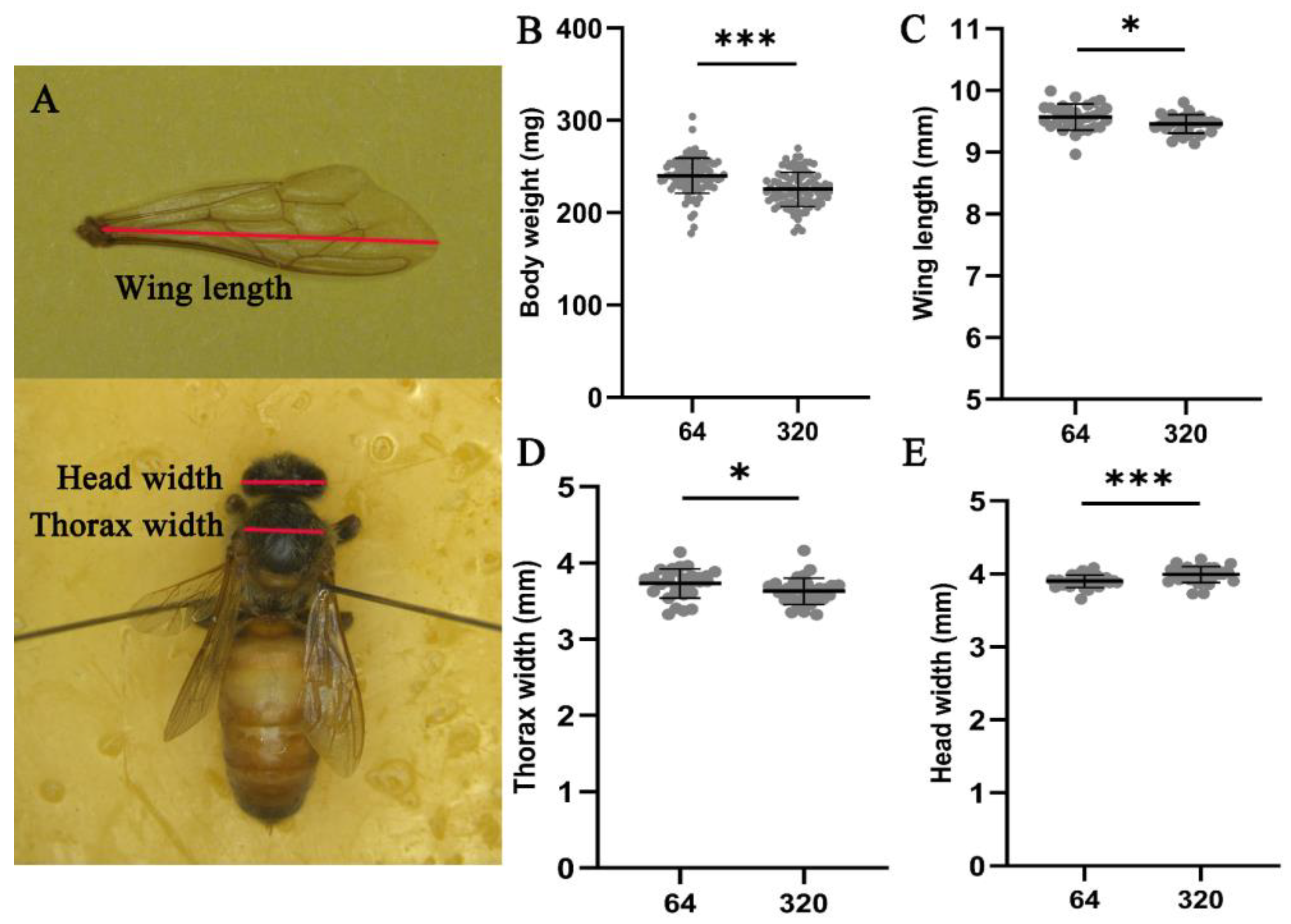 Agriculture 14 00264 g001