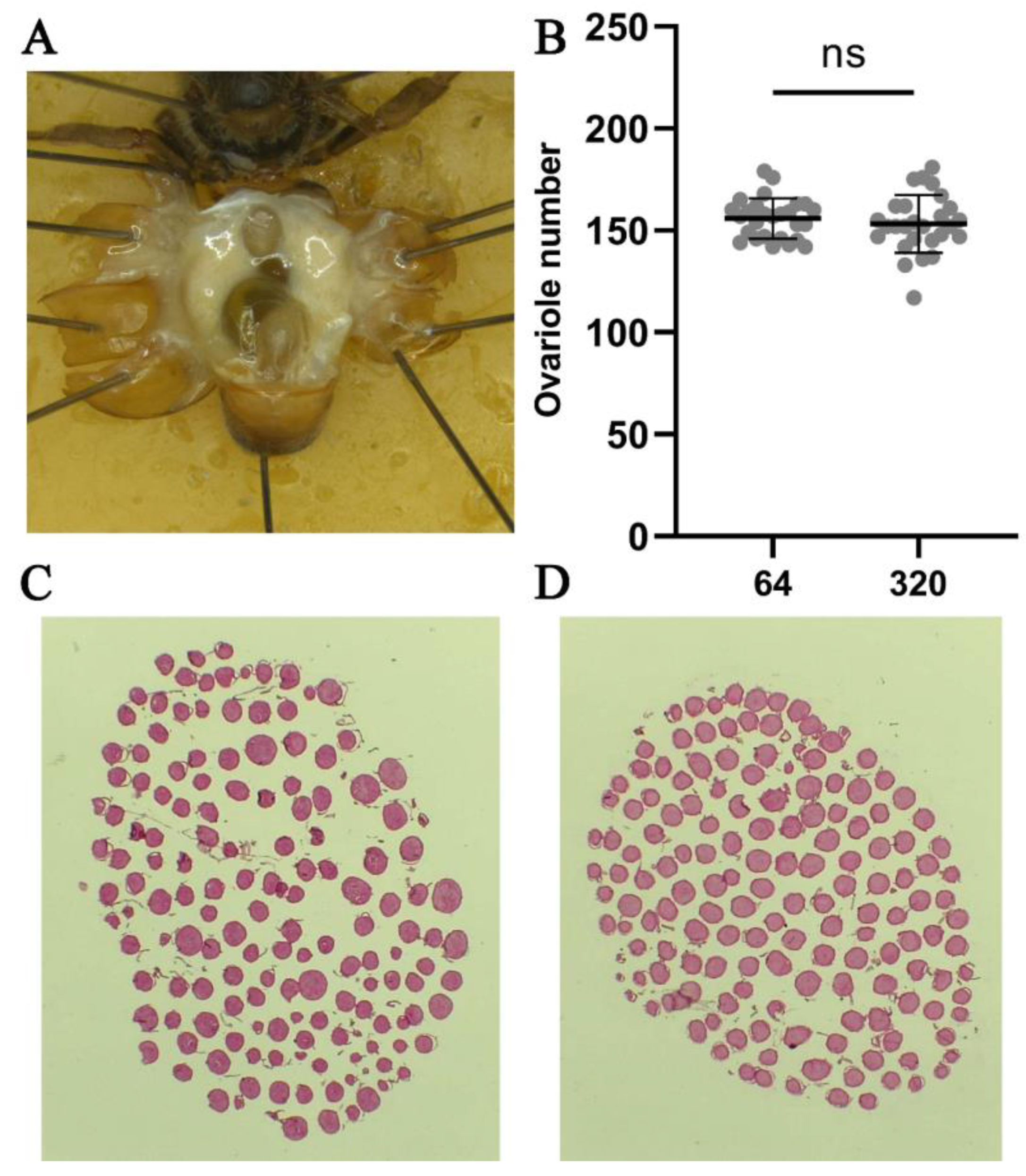 Agriculture 14 00264 g002