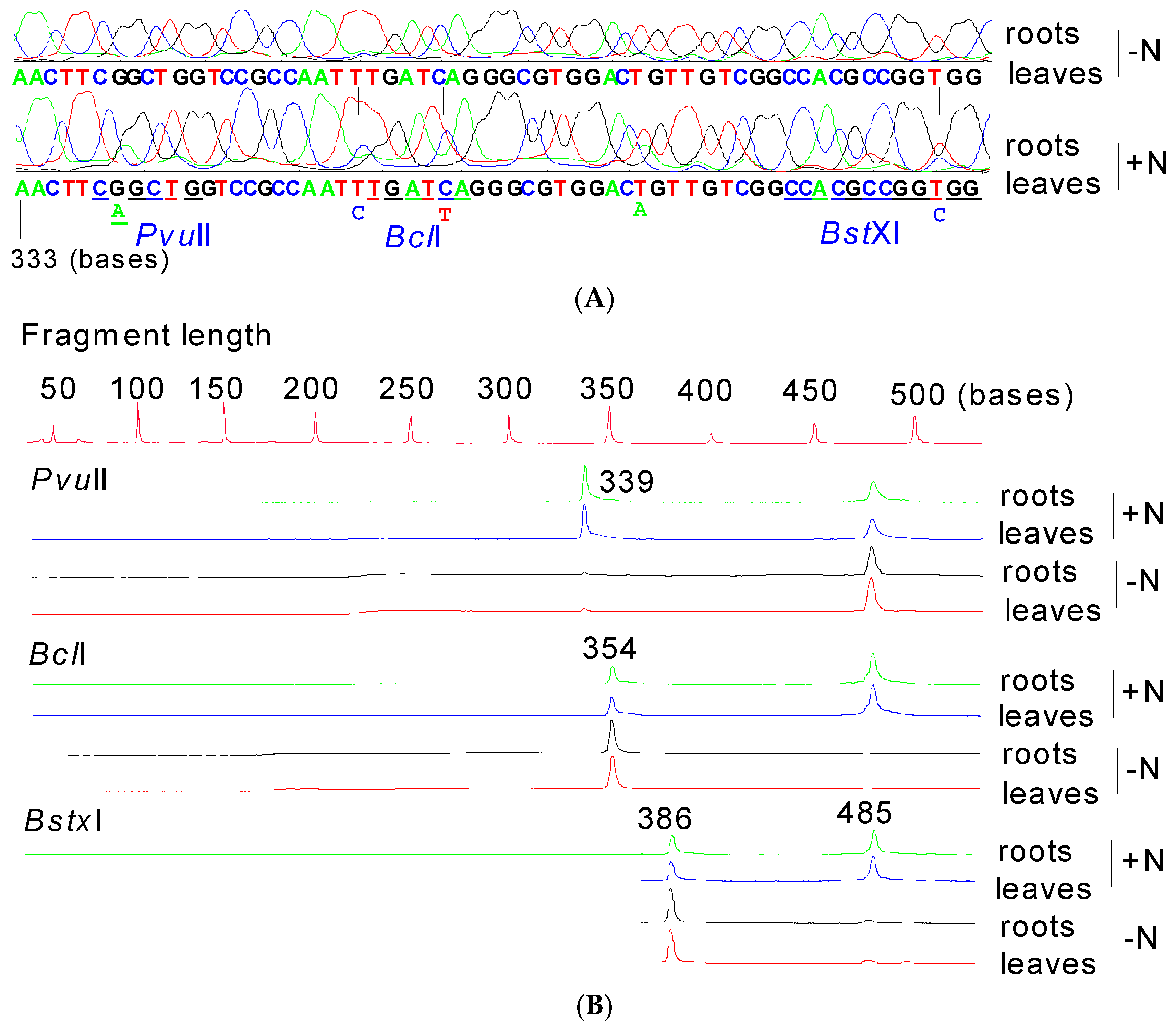Agriculture 14 00265 g005