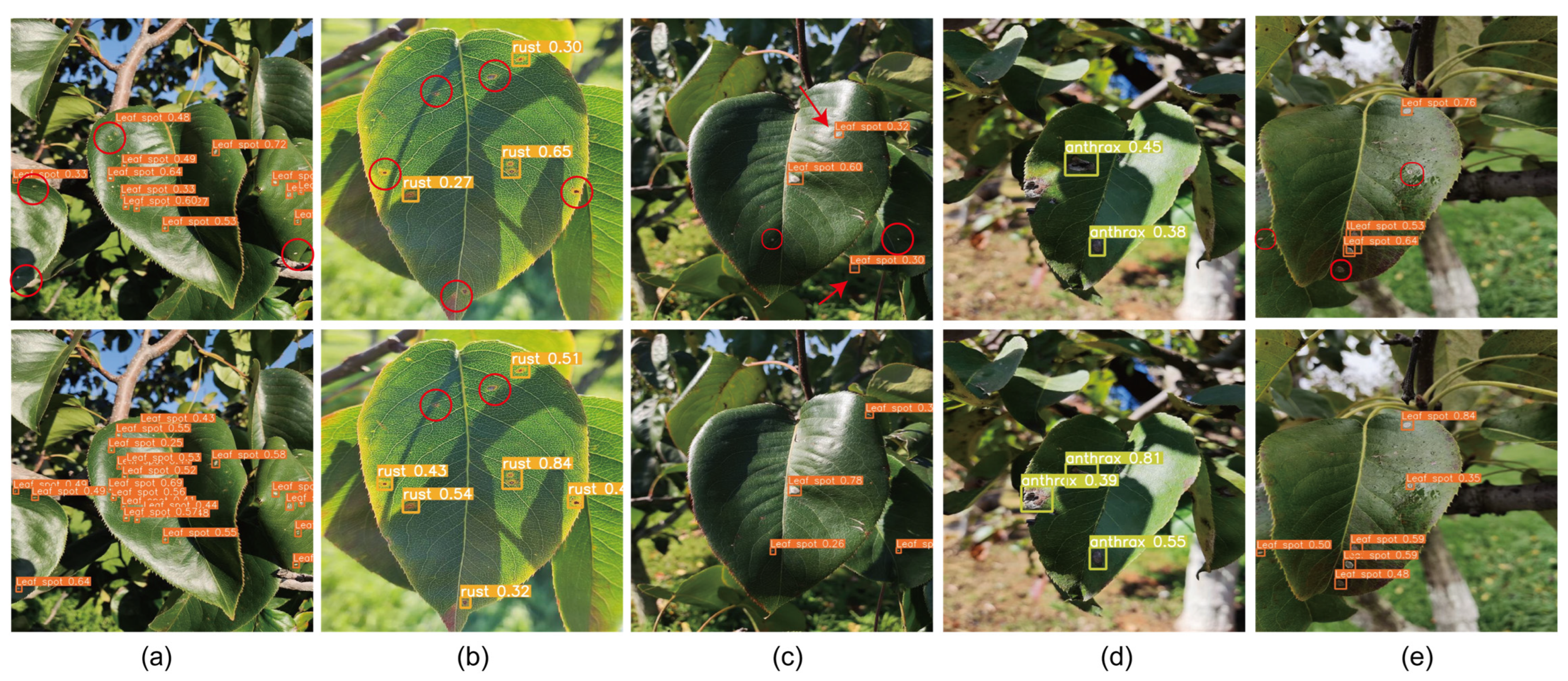 Agriculture 14 00273 g010