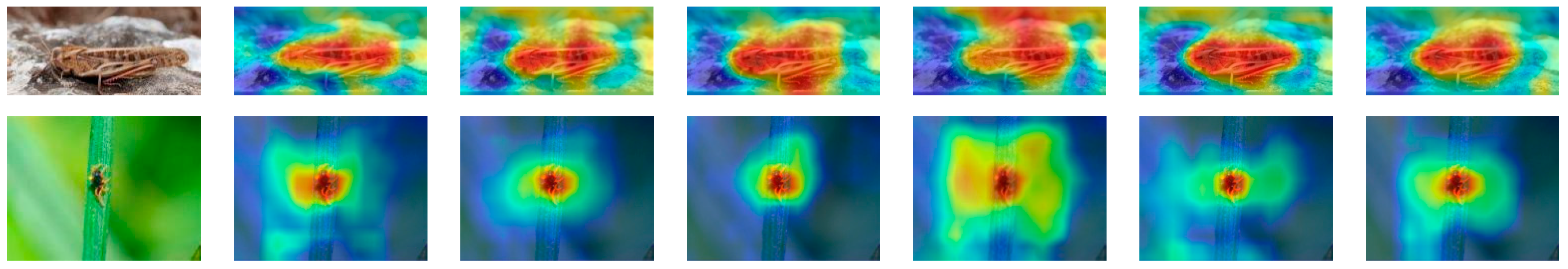 Agriculture 14 00275 g013a