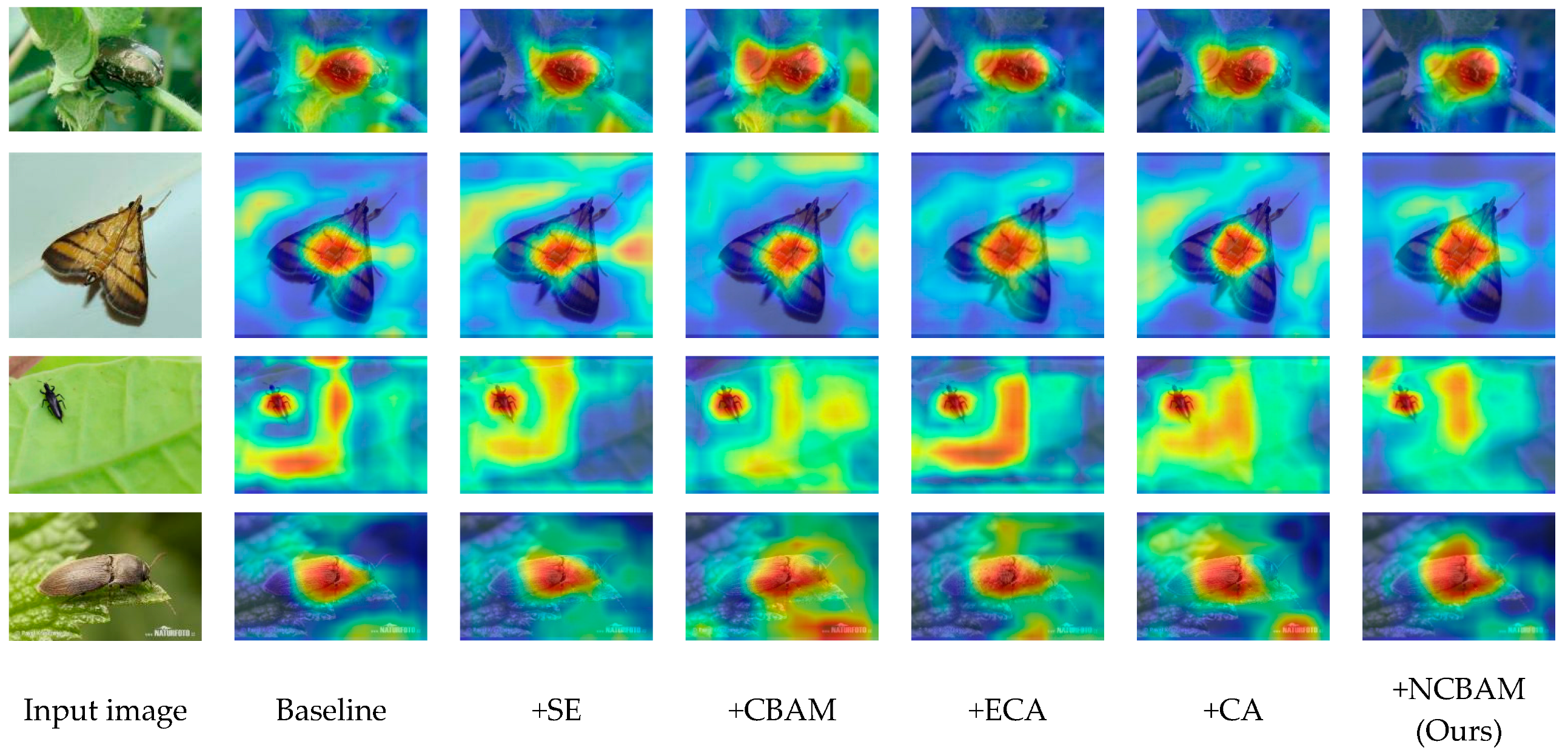 Agriculture 14 00275 g013b