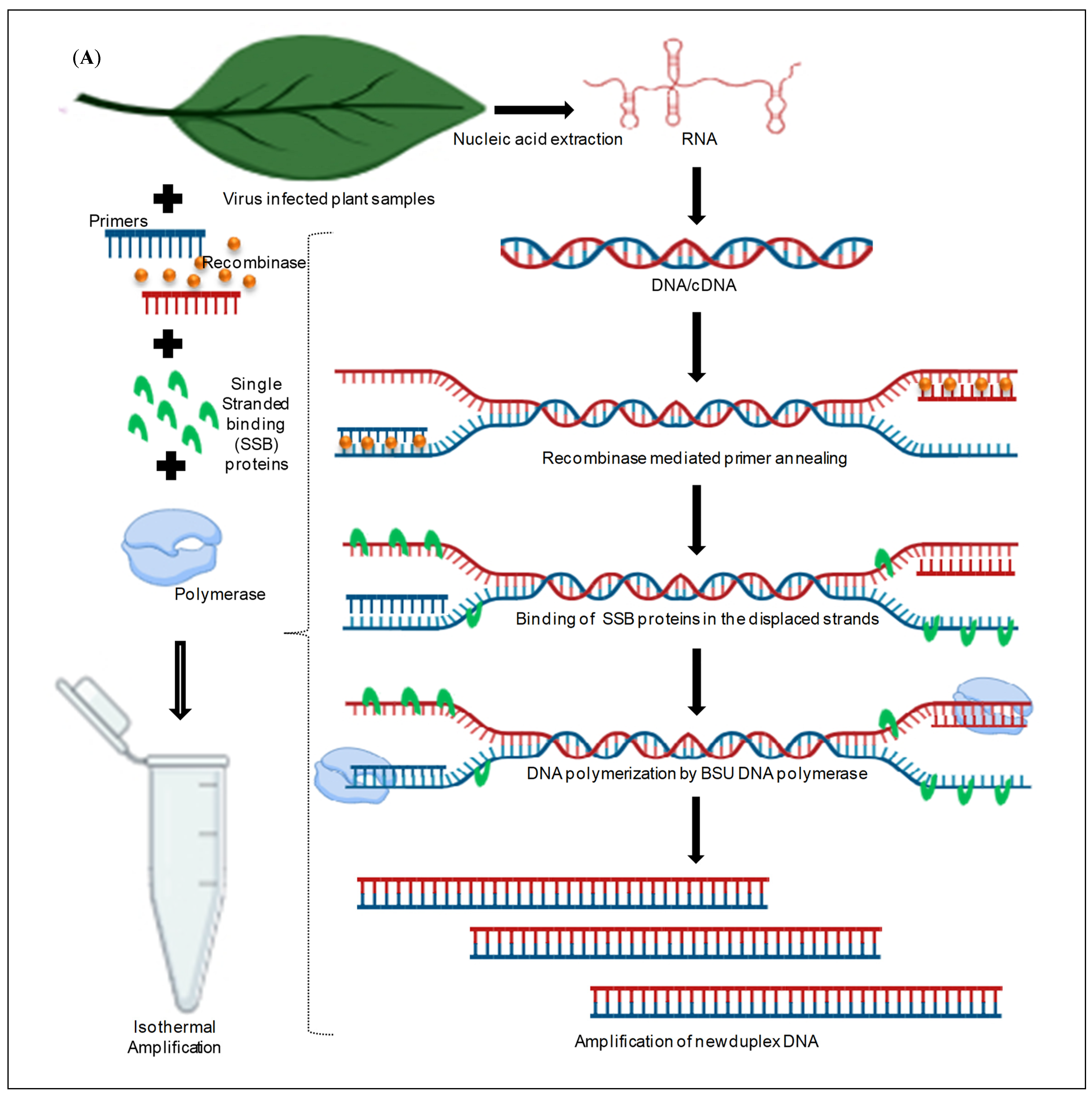 Agriculture 14 00284 g002a Agriculture 14 00284 g002a