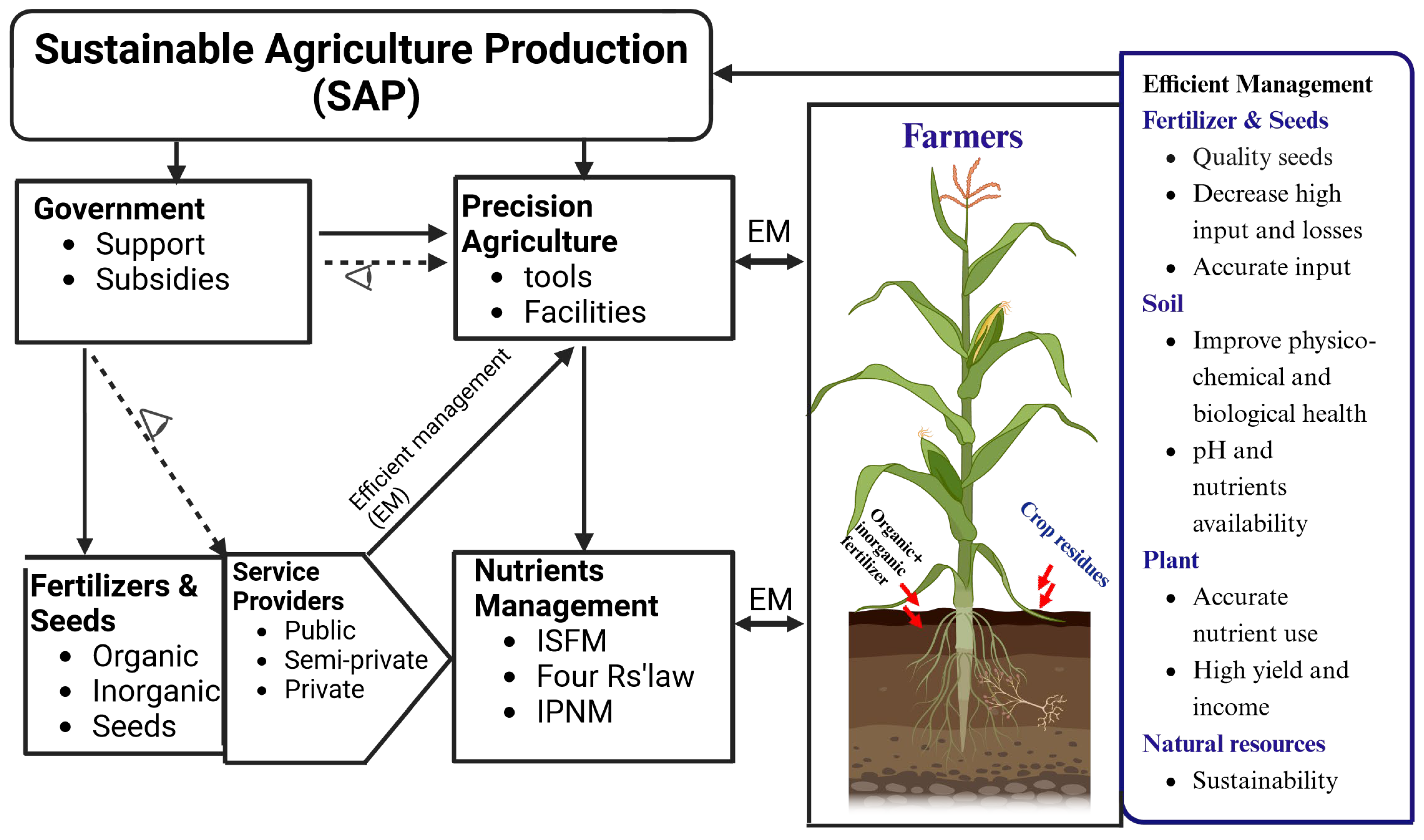 Agriculture 14 00285 g001
