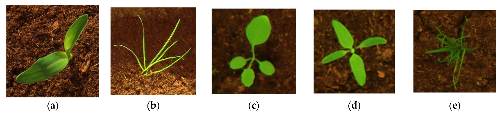 Agriculture 14 00286 g002