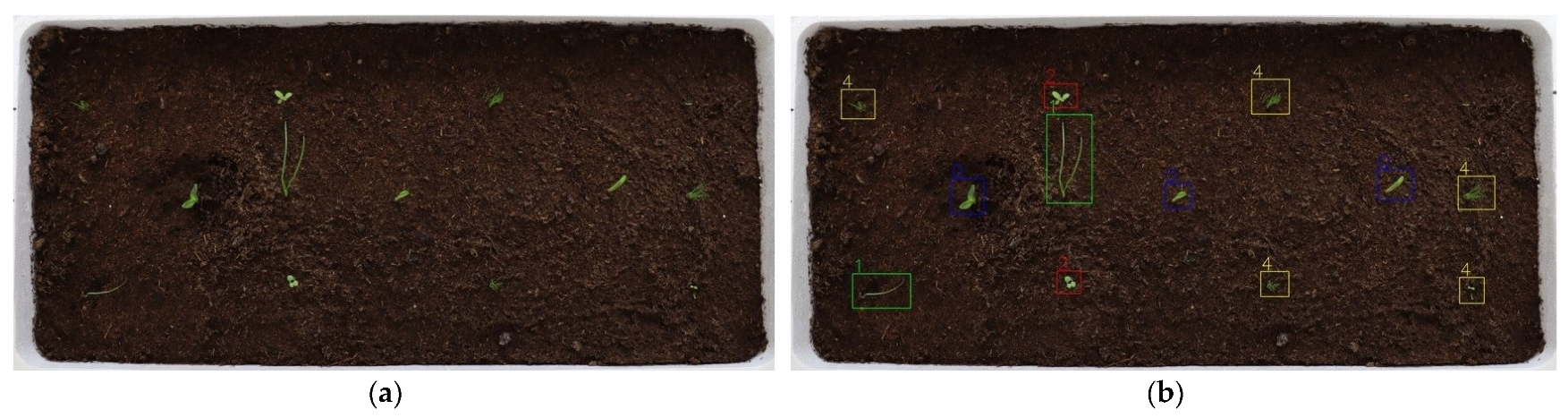 Agriculture 14 00286 g007