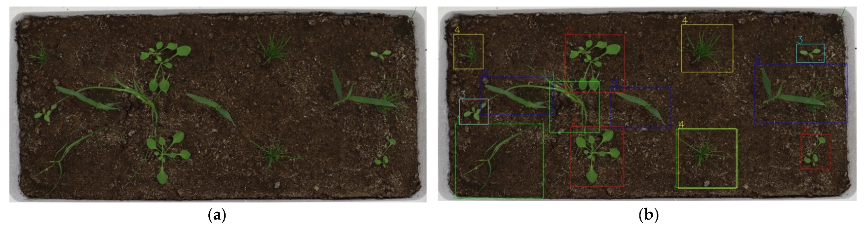 Agriculture 14 00286 g008