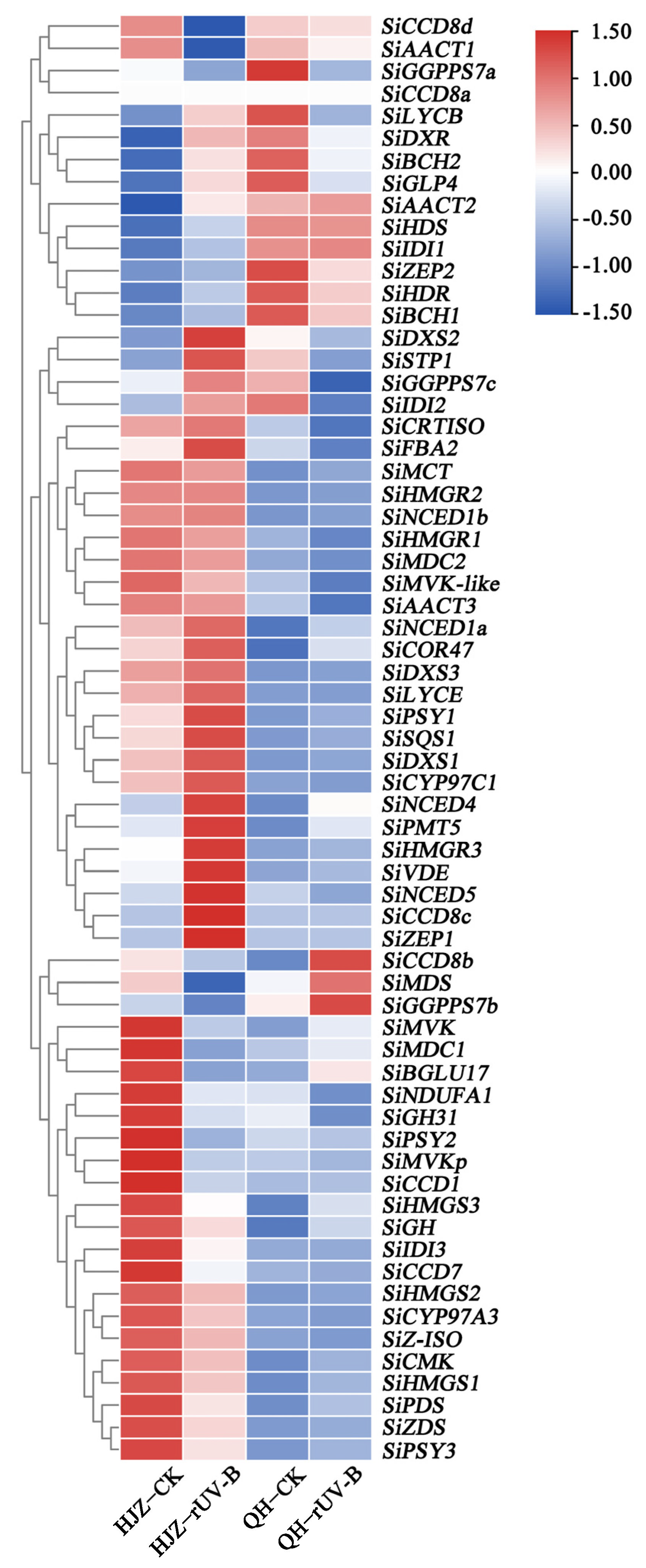 Agriculture 14 00289 g003