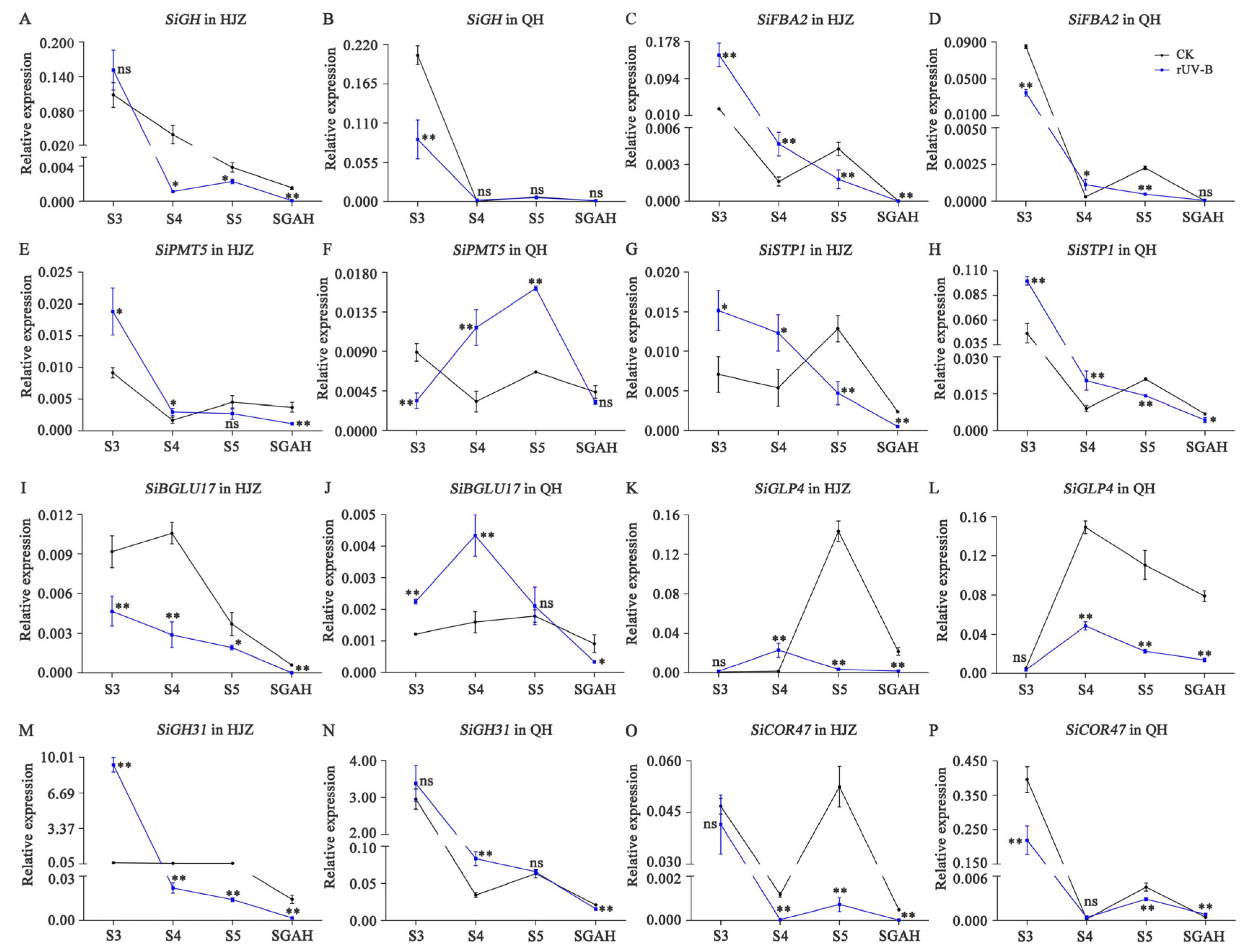 Agriculture 14 00289 g005