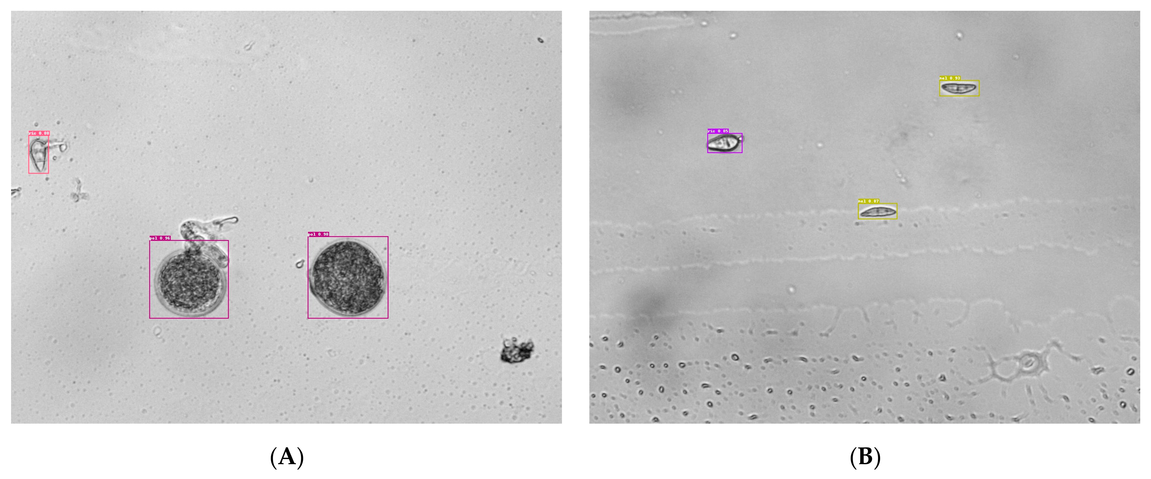 Agriculture 14 00290 g008a