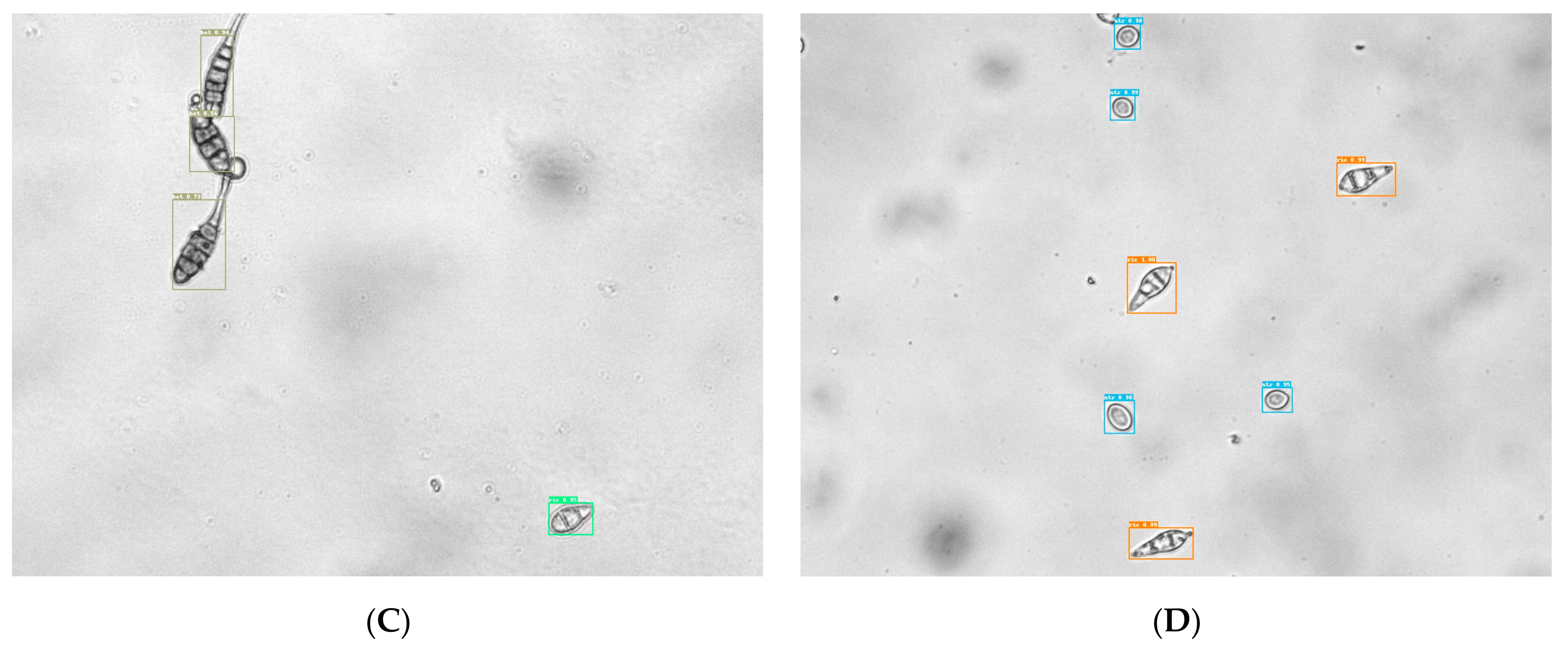 Agriculture 14 00290 g008b