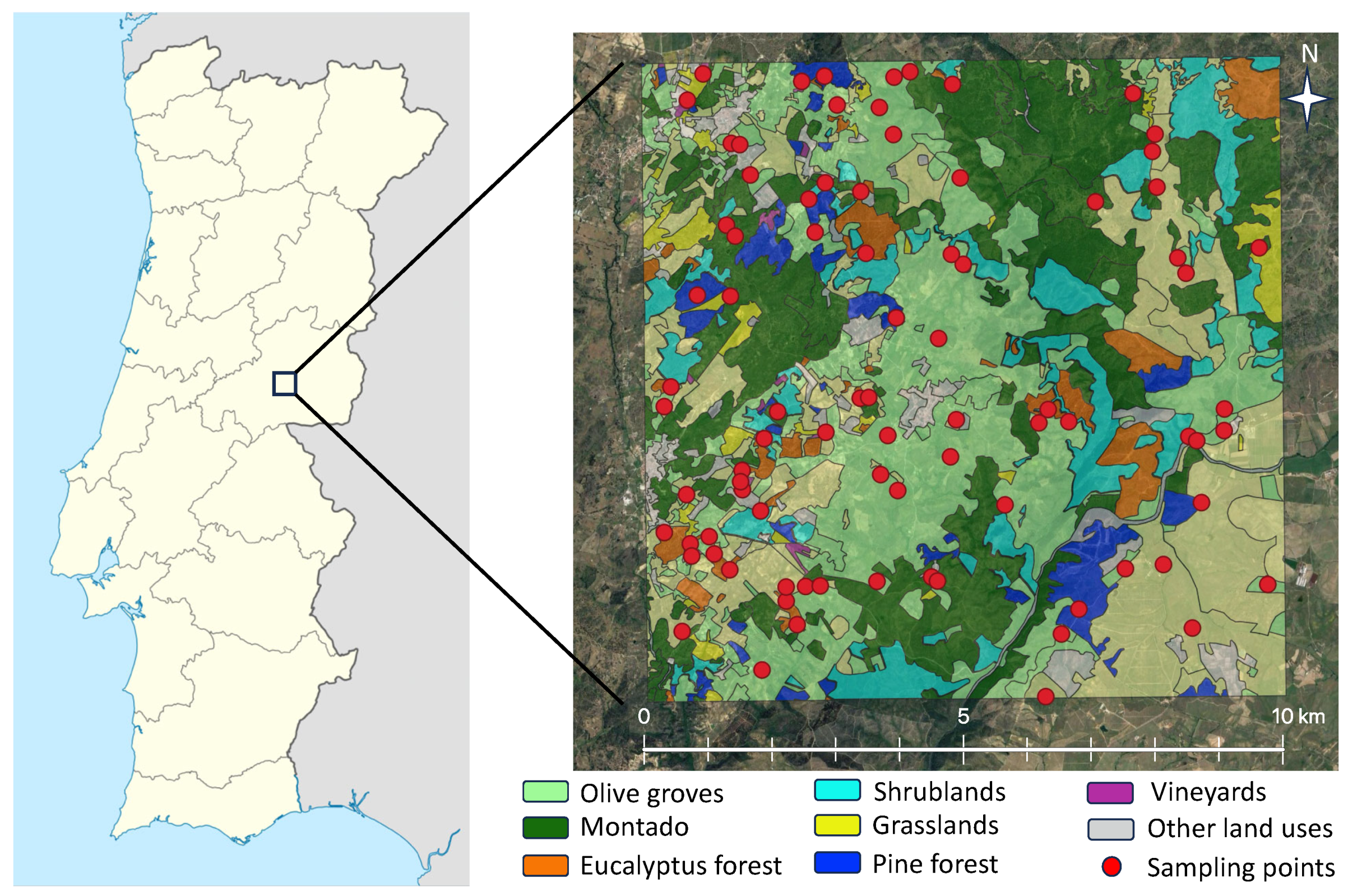 Agriculture 14 00298 g001